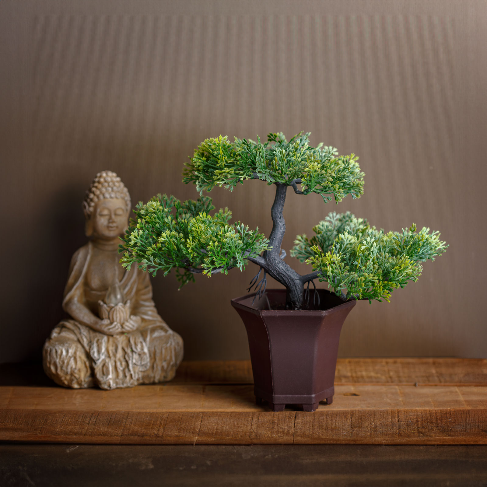 Barna cserép zöld fával. Buddha szobor faasztalon. Barna háttér.