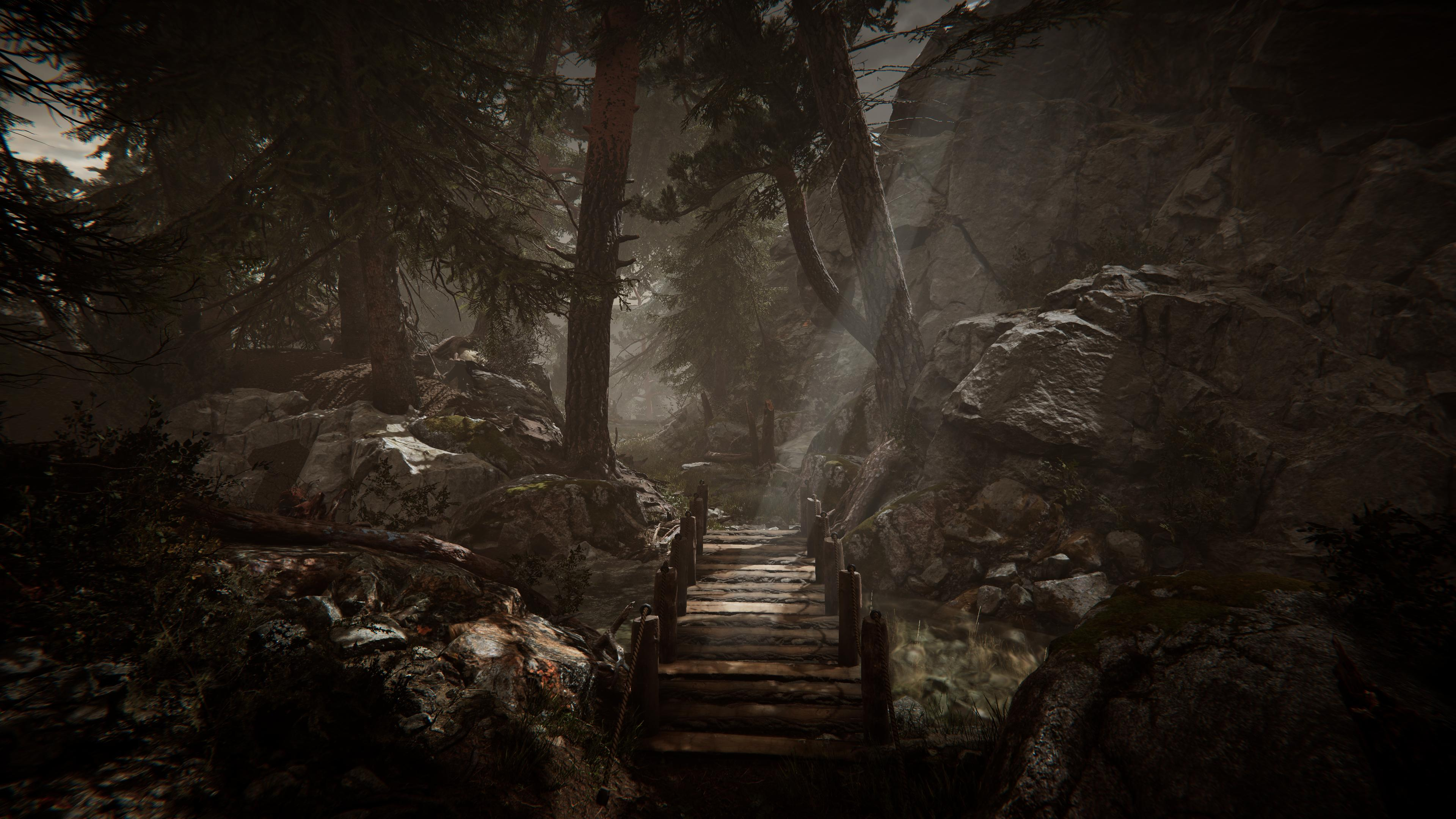 Scena leśna z mostem. Drzewa obramowują ścieżkę, skały po bokach, mroczna atmosfera.