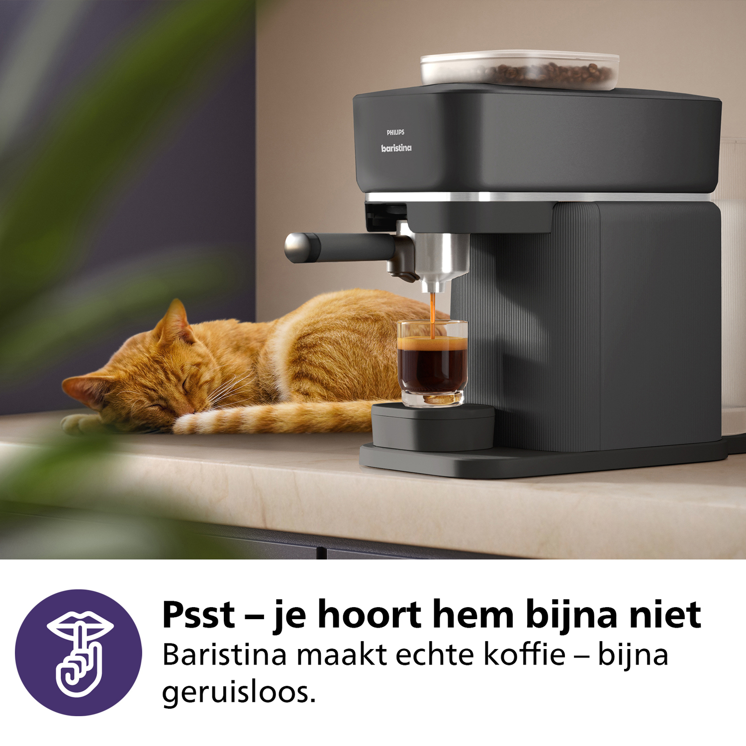 Orange cat sleeping near coffee machine. Coffee pouring into a glass. Dark gray machine.