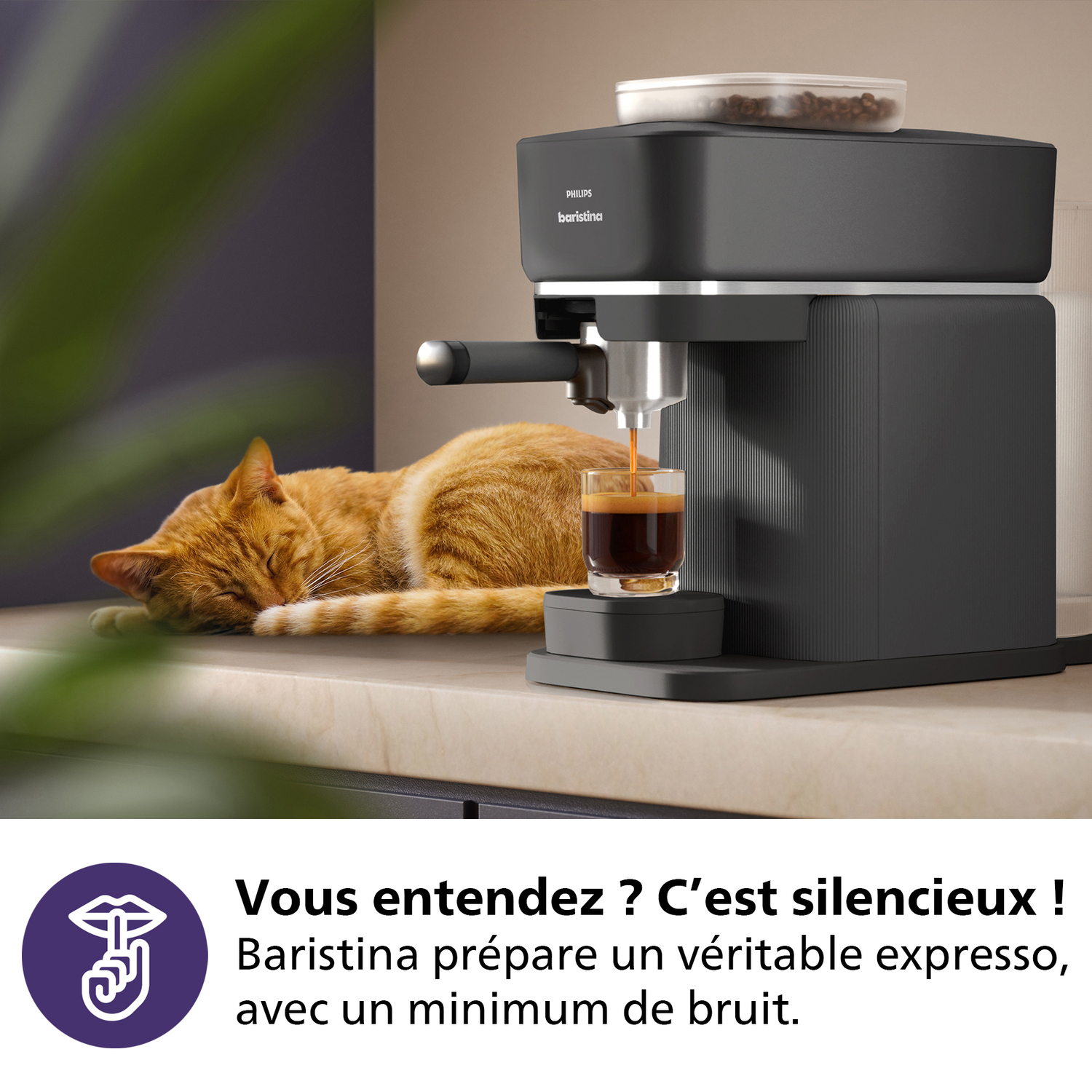 Chat orange dormant près de la machine à café. Café coulant dans un verre. Machine gris foncé.