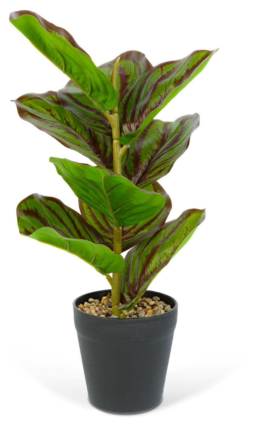 VOG & ARTHS Műnövény dekoráció, zebralevél, zöld/fekete, 34 x 9 cm (11896B)