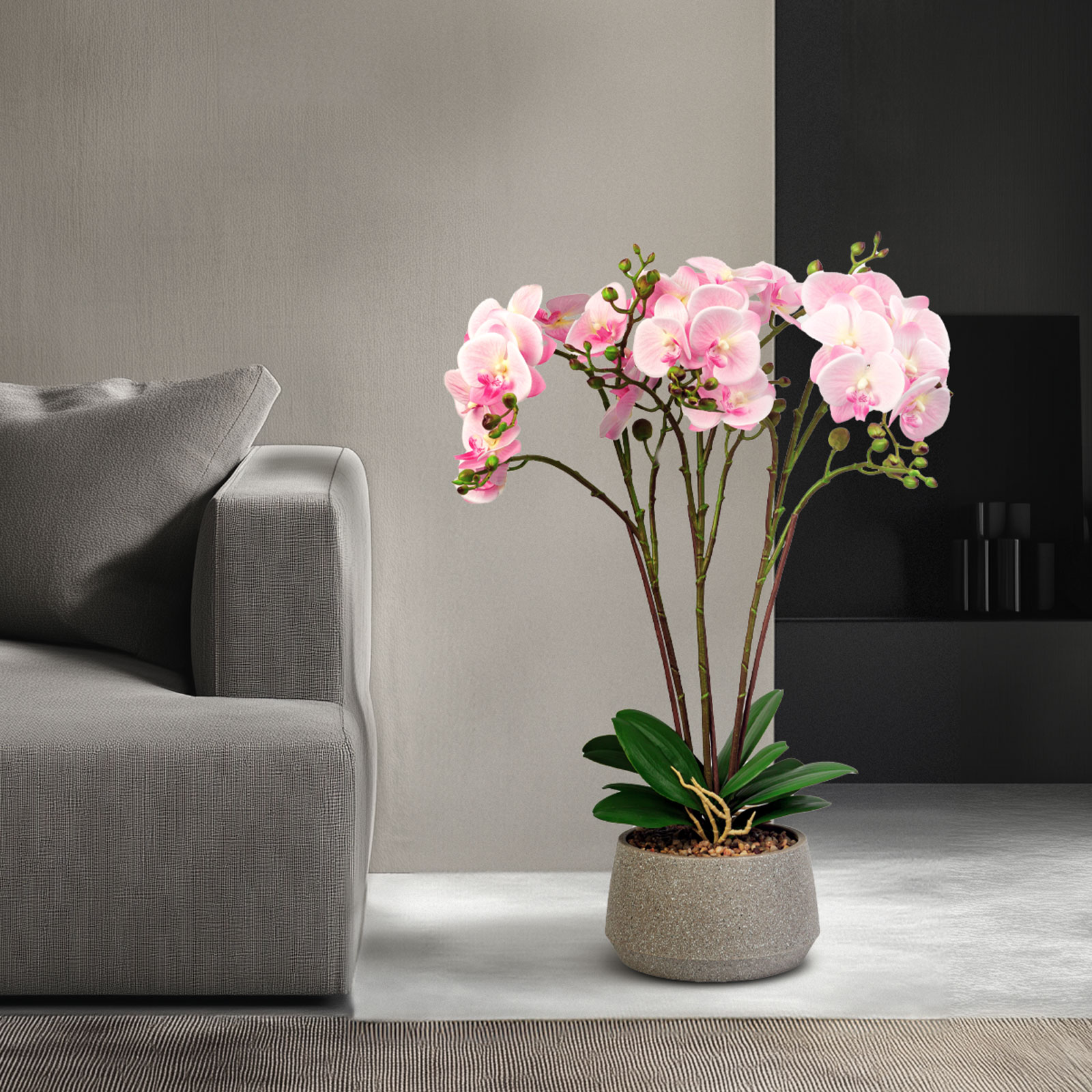 Egy rózsaszín orchidea növény egy szürke cserépben. Háttérben egy kanapé és fal.