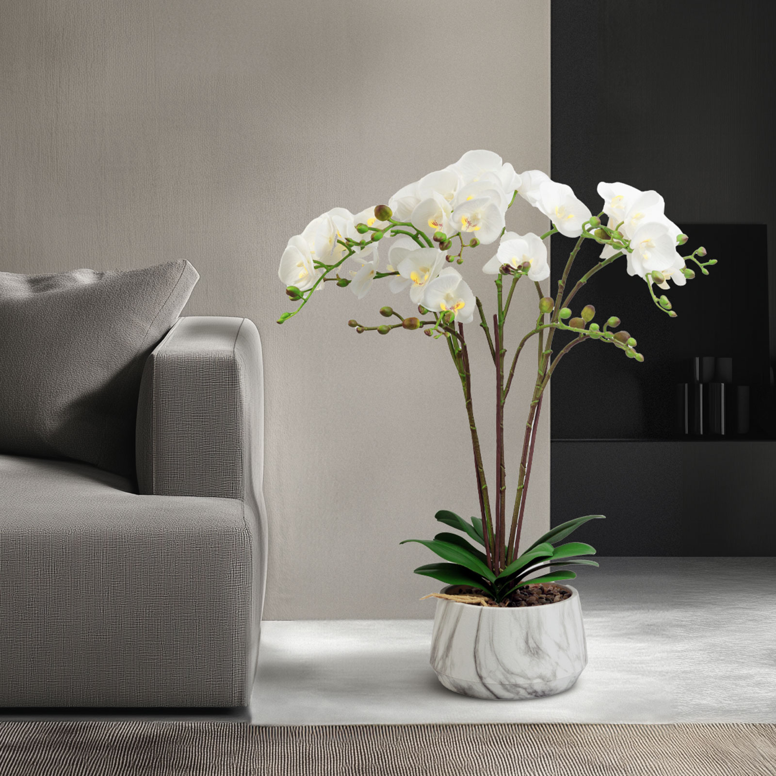 Egy fehér orchidea növény márvány cserépben. Háttérben egy kanapé és fal.