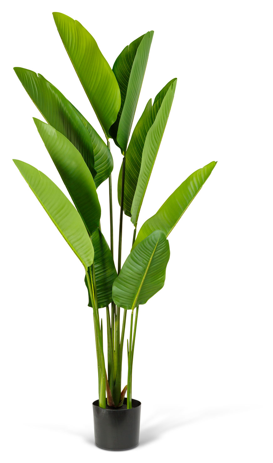 VOG & ARTHS Műnövény dekoráció, banánlevél fa, zöld, 1.6 m (11905B)