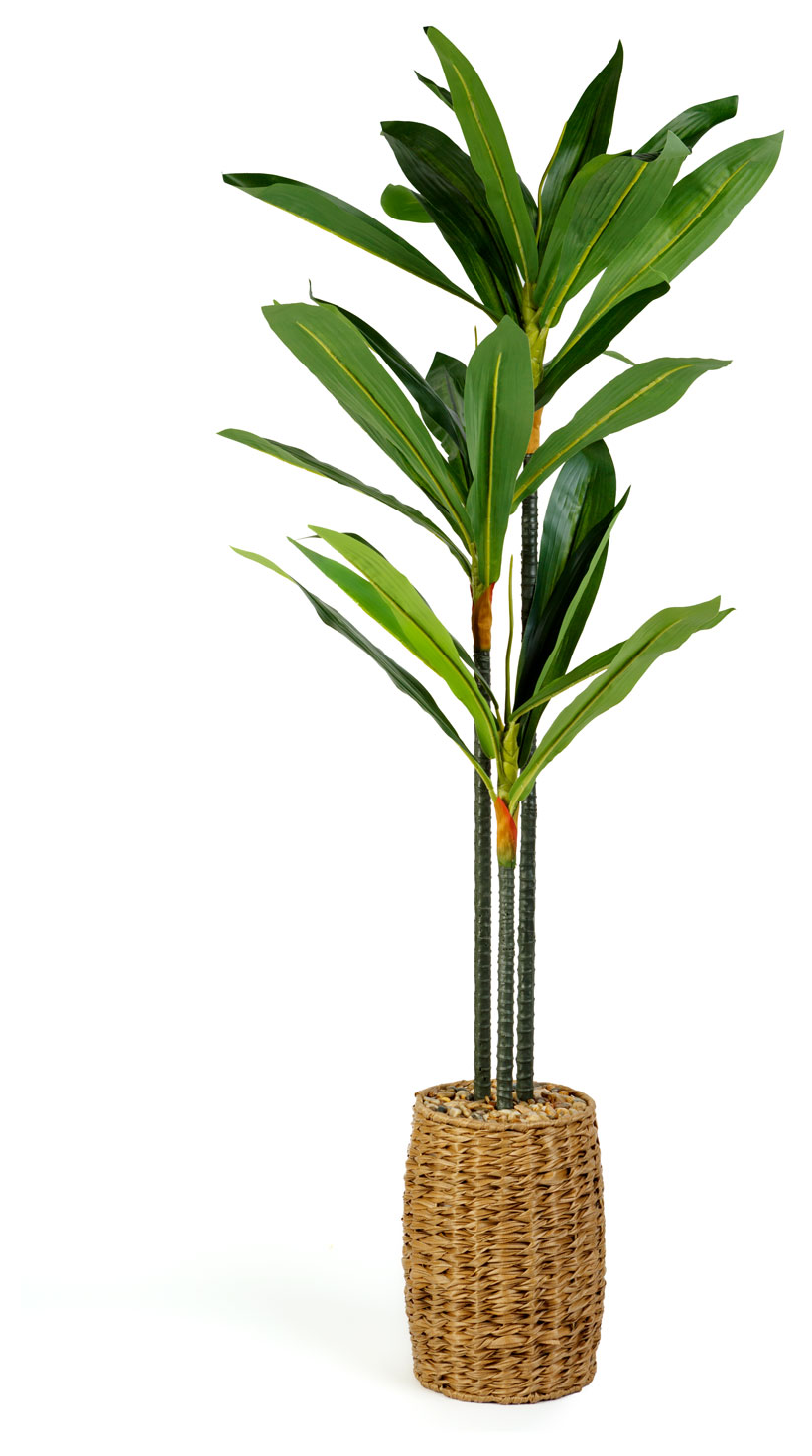 VOG & ARTHS Műnövény dekoráció, dracaena, 1.1-1.2 m (11906)