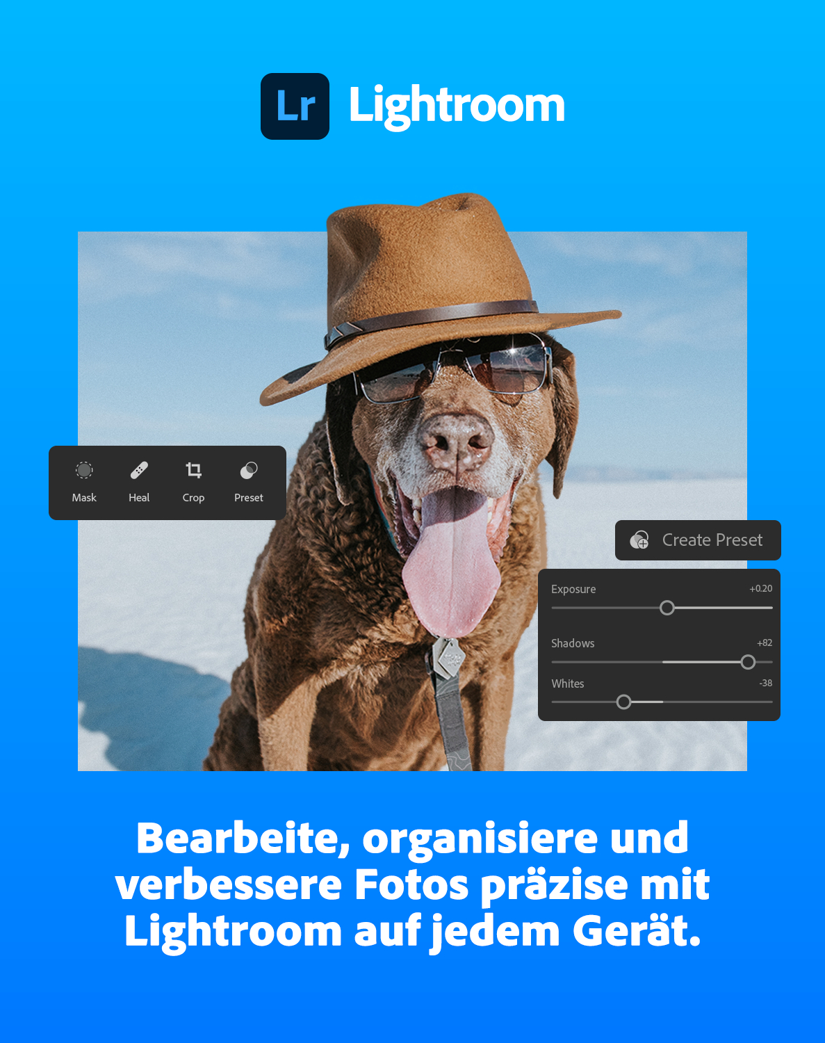 Hund mit Sonnenbrille und Hut, mit Lightroom-Oberfläche, die Bearbeitungswerkzeuge für Belichtung usw. zeigt.