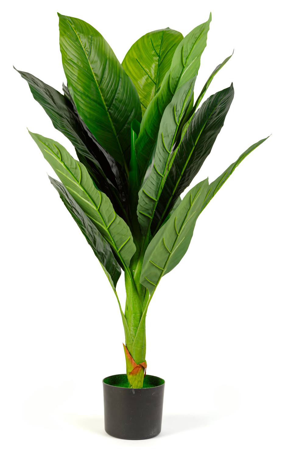 VOG & ARTHS Műnövény dekoráció, colocasia, 100 cm (11911)