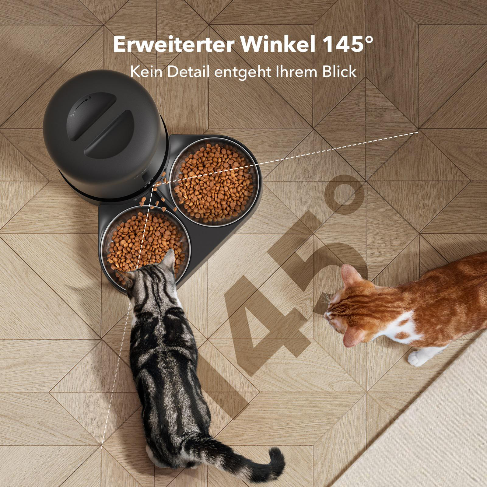 Zwei Katzen, die aus Schalen fressen. Haustierfutterautomat oben. Der Winkel beträgt 145 Grad. Hintergrund: Holzboden.