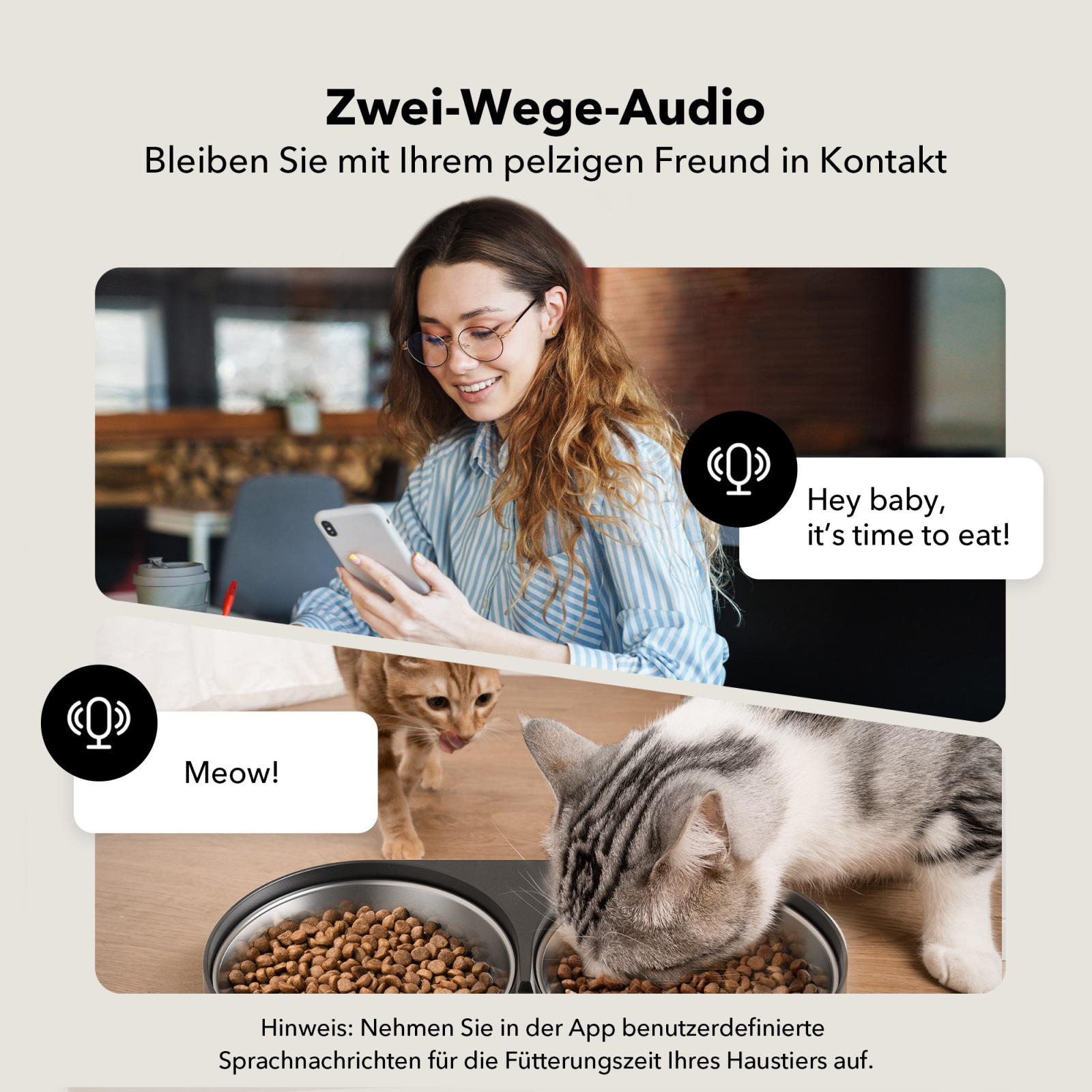 Frau mit Telefon, zwei Katzen, die unten aus Schalen fressen. Sprechblasen sagen: „Hey Baby, es ist Zeit zu essen!“ und „Miau!“