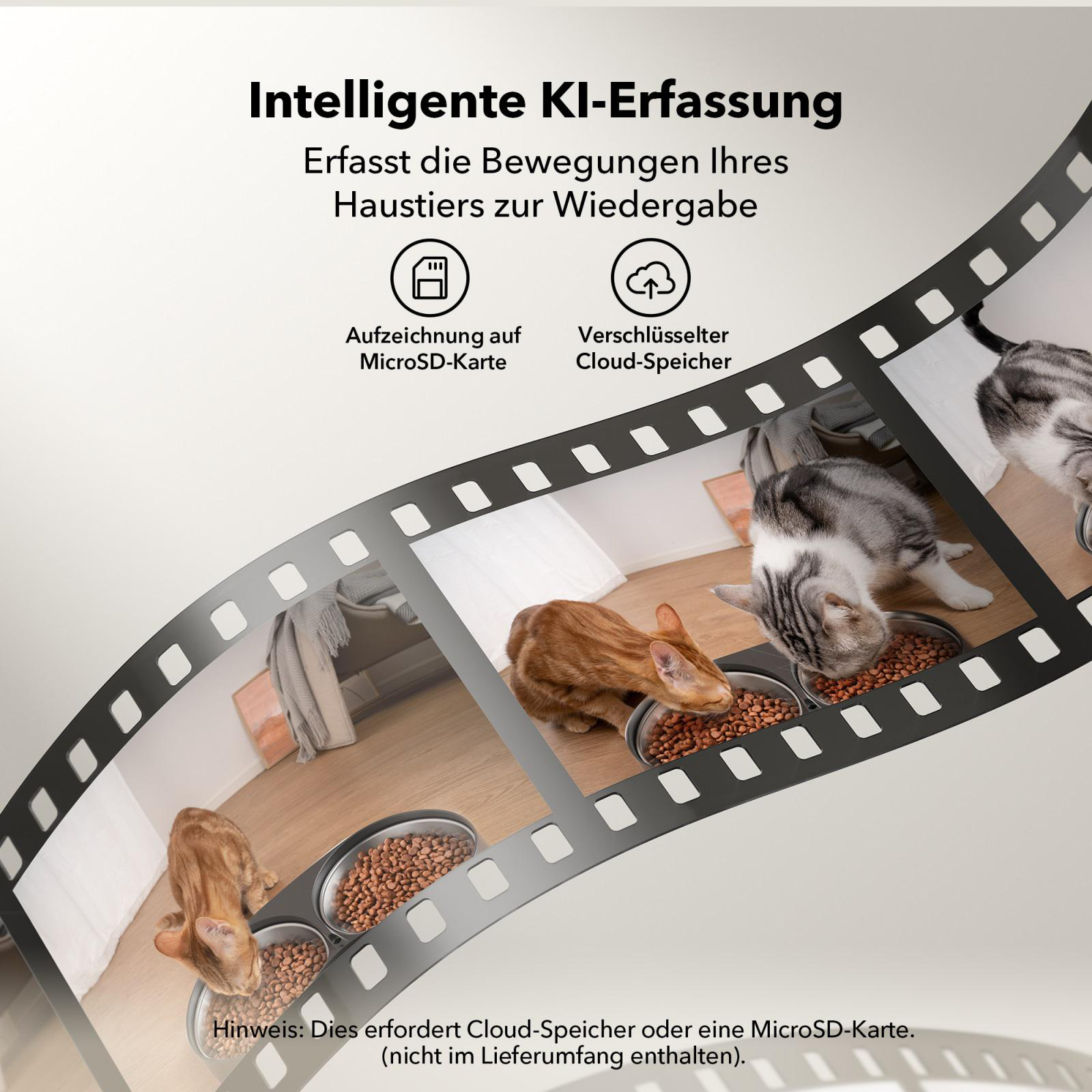 Katzen, die aus Schalen fressen, mit einem Filmstreifen von Bildern. Zeigt eine Micro-SD-Karte und Cloud-Speicheroptionen.