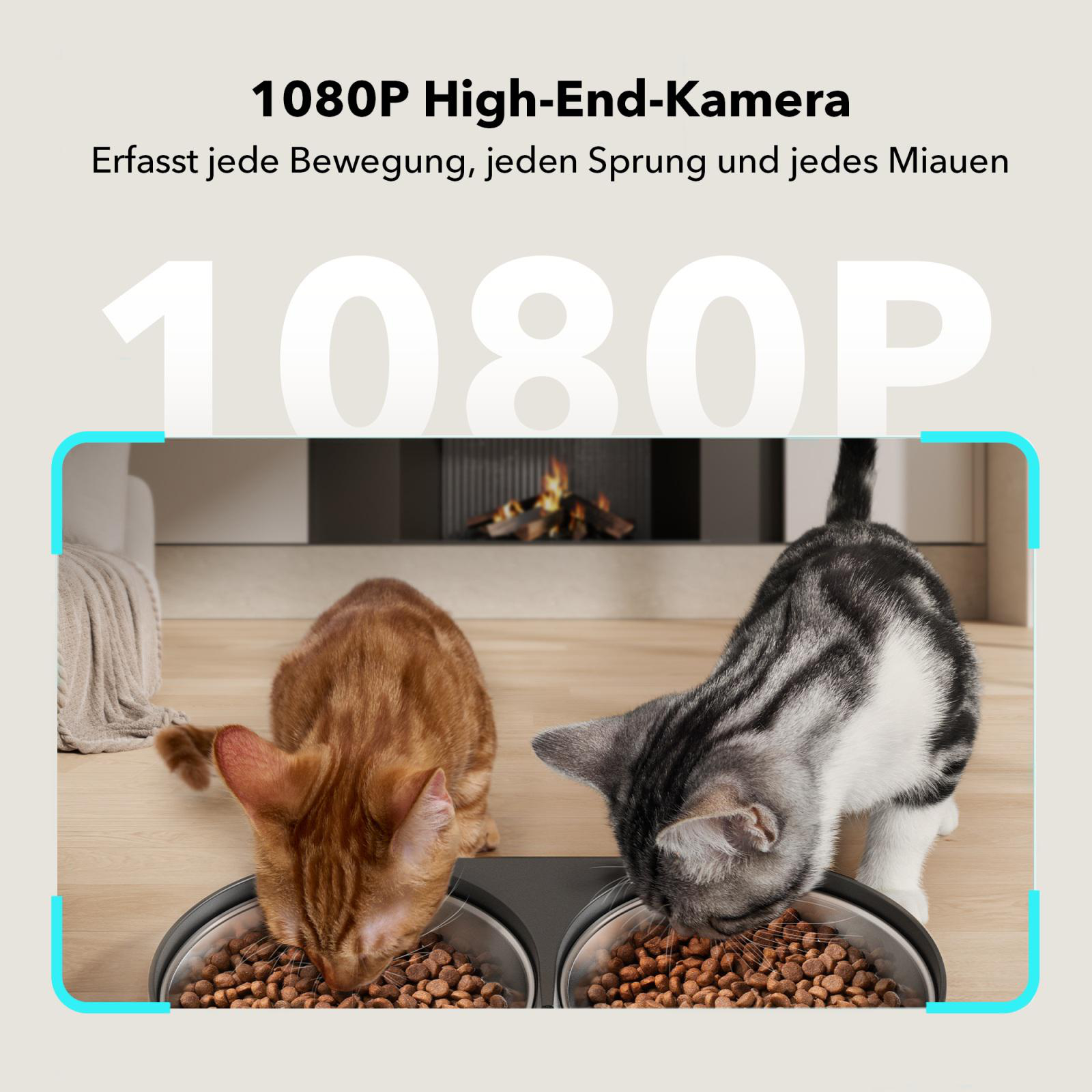 Zwei Katzen, die aus Schalen fressen. Haustierfutterautomat in der Mitte. Kamin im Hintergrund. 1080P angezeigt.