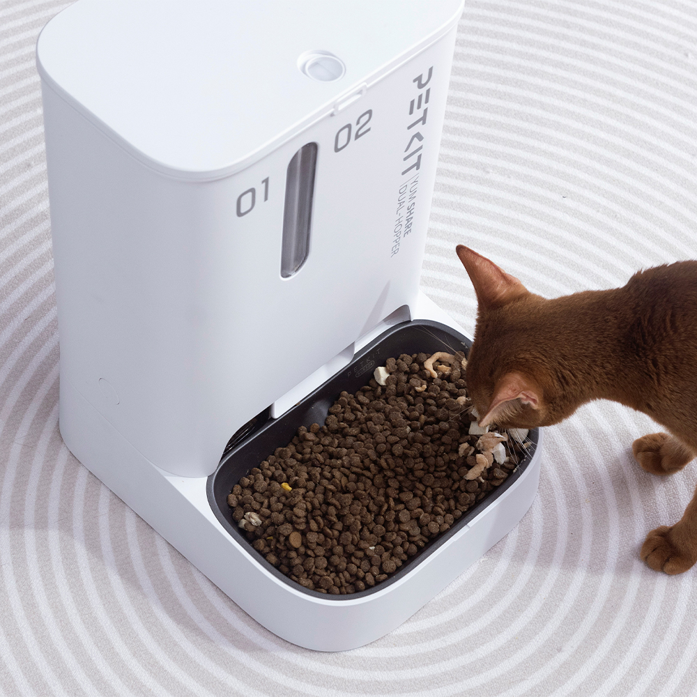 Beyaz Petkit otomatik mama kabından yemek yiyen turuncu bir kedi. Kapta kahverengi mama taneleri.