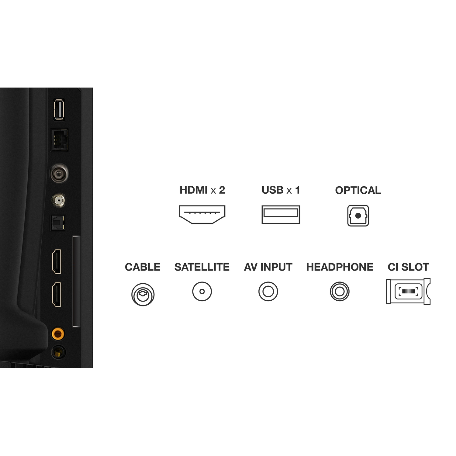 Ports TV, dont HDMI, USB, et plus, étiquetés pour la connectivité.