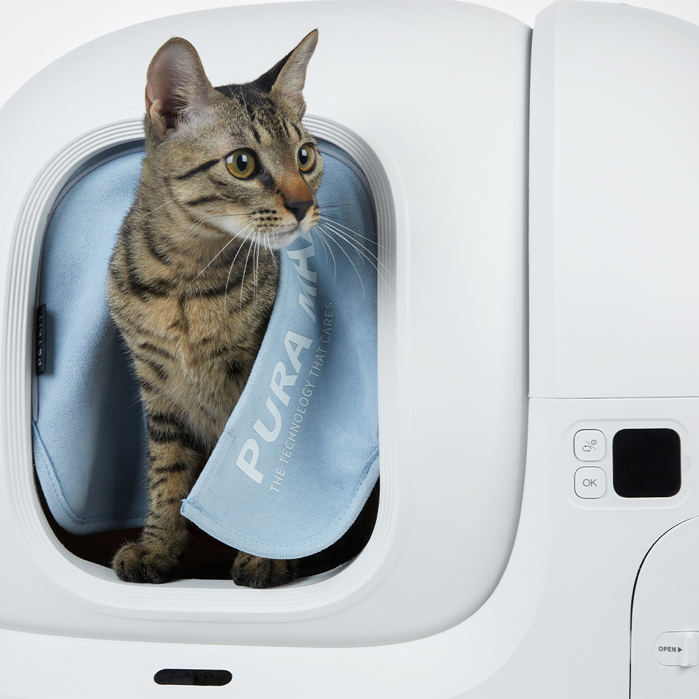 Tekir kedi beyaz bir kedi kum kabında oturuyor. İçinde 'PURA MAX' yazan mavi bir bez var. Kedi yana bakıyor.