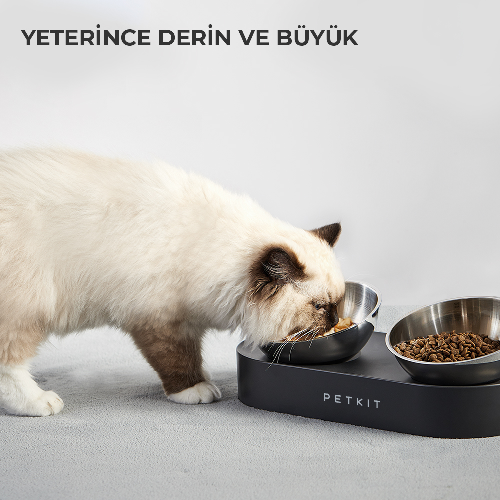 Bir kedi, siyah bir stand üzerindeki çelik bir kaptan yemek yiyor. Standda kedi maması olan başka bir kap var. Beyaz arka plan.