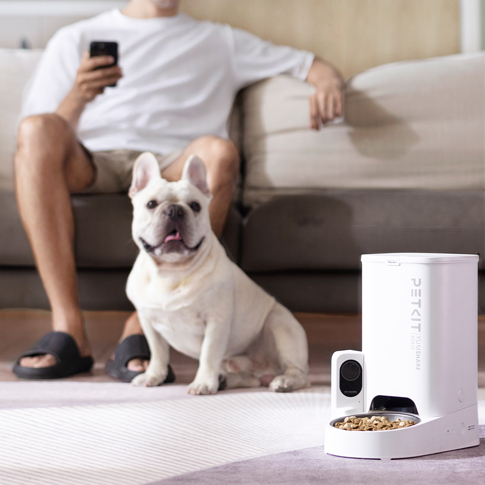 Beyaz bir köpek besleyicinin yanında oturuyor. Bir kişi telefon kullanıyor, kanepede oturuyor. Beyaz bir besleyici yakın.