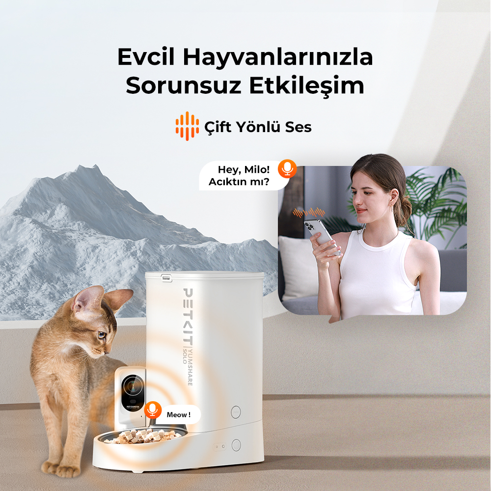 Bir kadın, mama kabının yanındaki bir kediyle konuşmak için telefonunu kullanıyor. Kedi dağıtıcıya bakıyor. Arka plan bir dağdır.