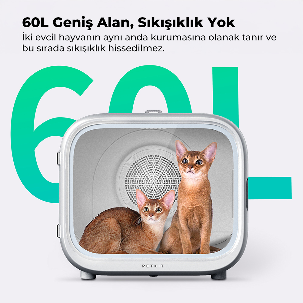 Beyaz bir evcil hayvan kurutucusunun içinde iki kahverengi kedi. Kurutucunun şeffaf bir kapısı var. Yeşil metin: "60L Geniş Alan, Sıkışıklık Yok".