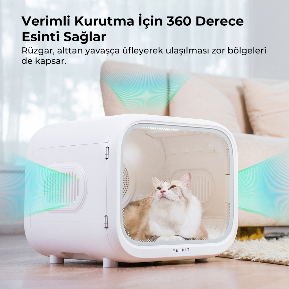 Beyaz bir Petkit kurutucusunun içinde bir kedi. Kurutucunun şeffaf bir kapısı var. Kurutucudan yeşil hava akışı.