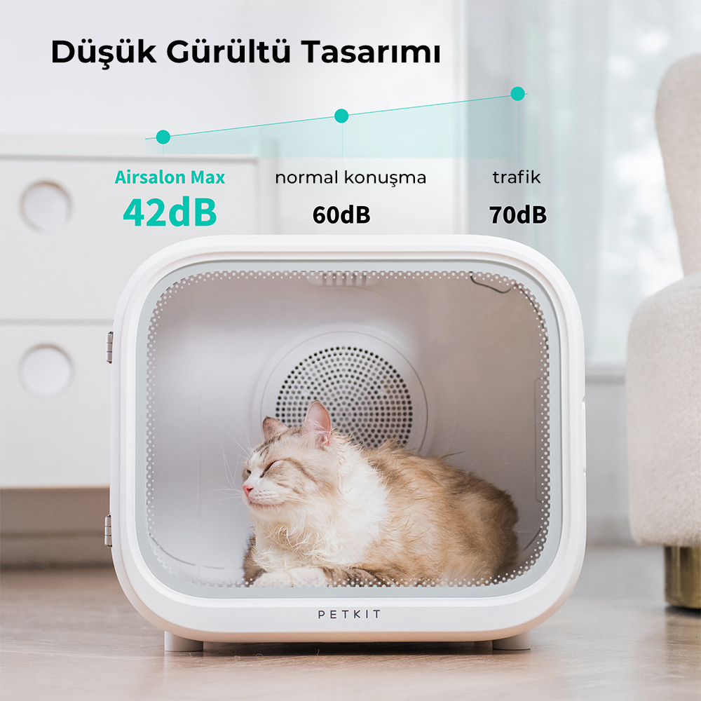 Beyaz PETKIT kurutma makinesinin içinde bir kedi. Kurutma makinesinin şeffaf bir kapısı var. Gürültü seviyeleri: 42dB, 60dB, 70dB.