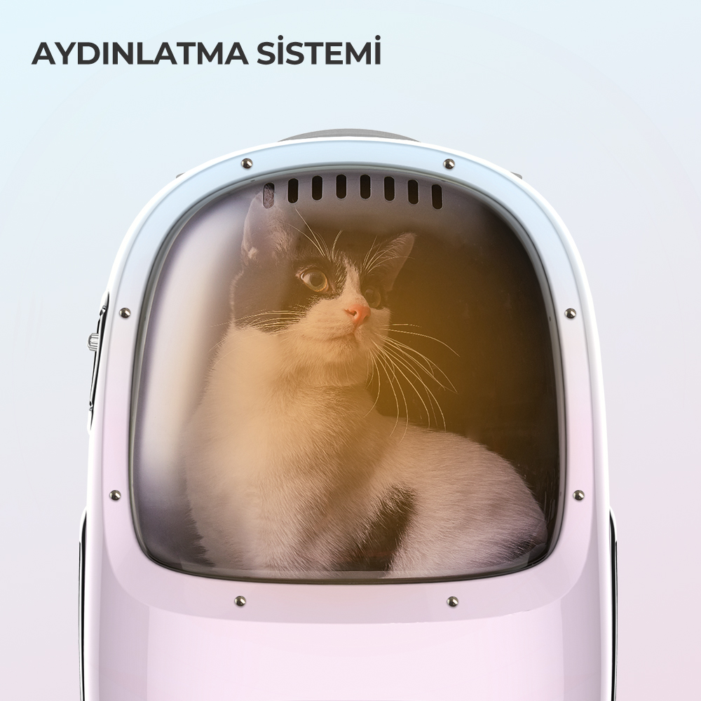 Siyah beyaz bir kedi, şeffaf pencereli pembe bir evcil hayvan taşıyıcısının içinde oturuyor, üstte "AYDINLATMA SISTEMI" yazısı var.
