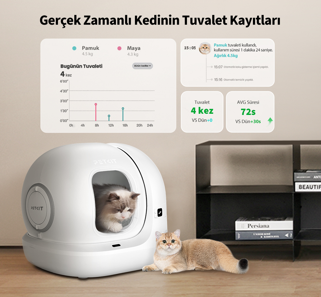 İçinde bir kedi olan beyaz bir kedi kumu kutusu ve yerde yatan bir kedi. Ekran kullanım verilerini gösteriyor.