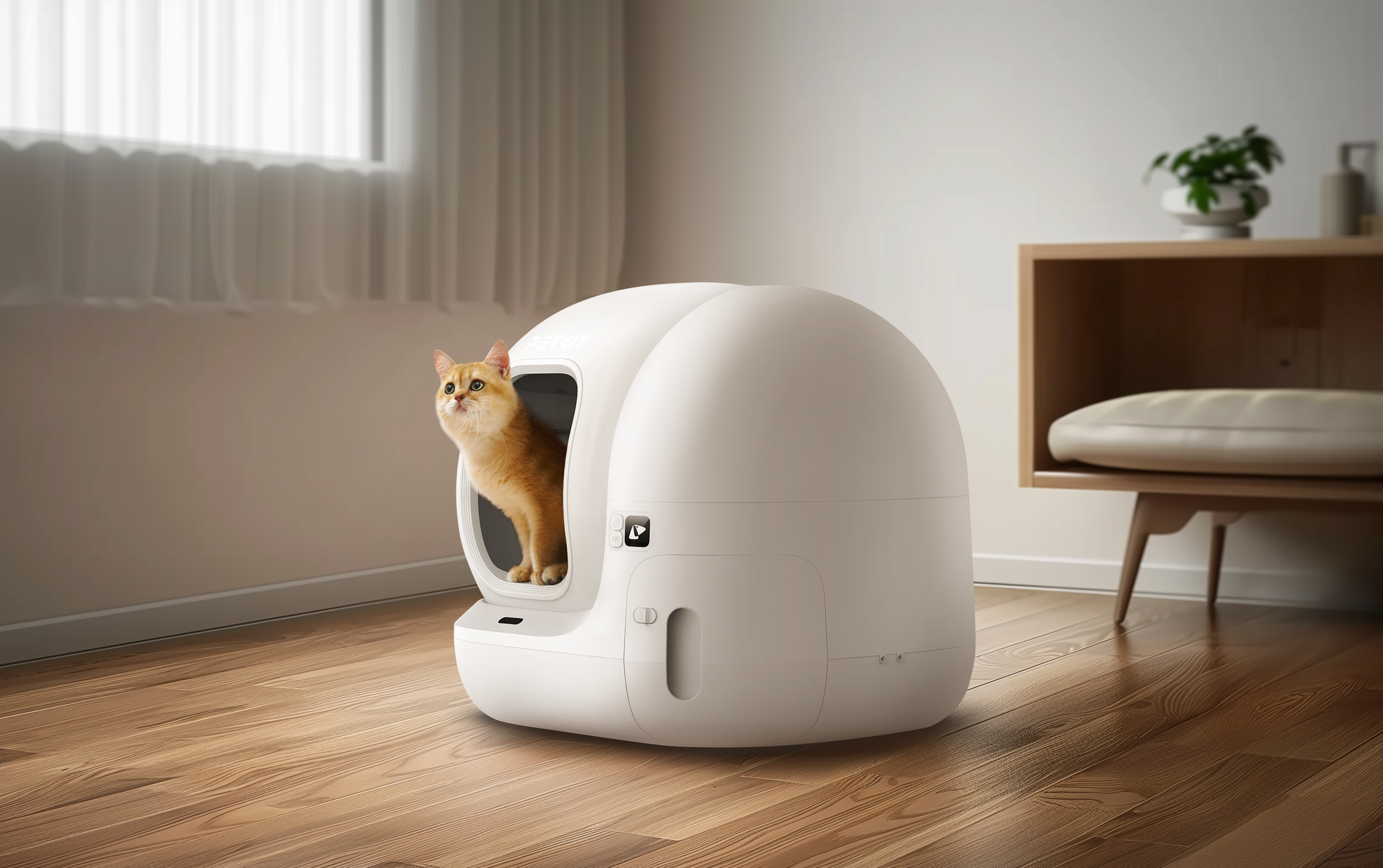 Beyaz otomatik bir kedi tuvaletinin içinde turuncu bir kedi. Odanın ahşap zeminleri ve küçük bir dolabı var.