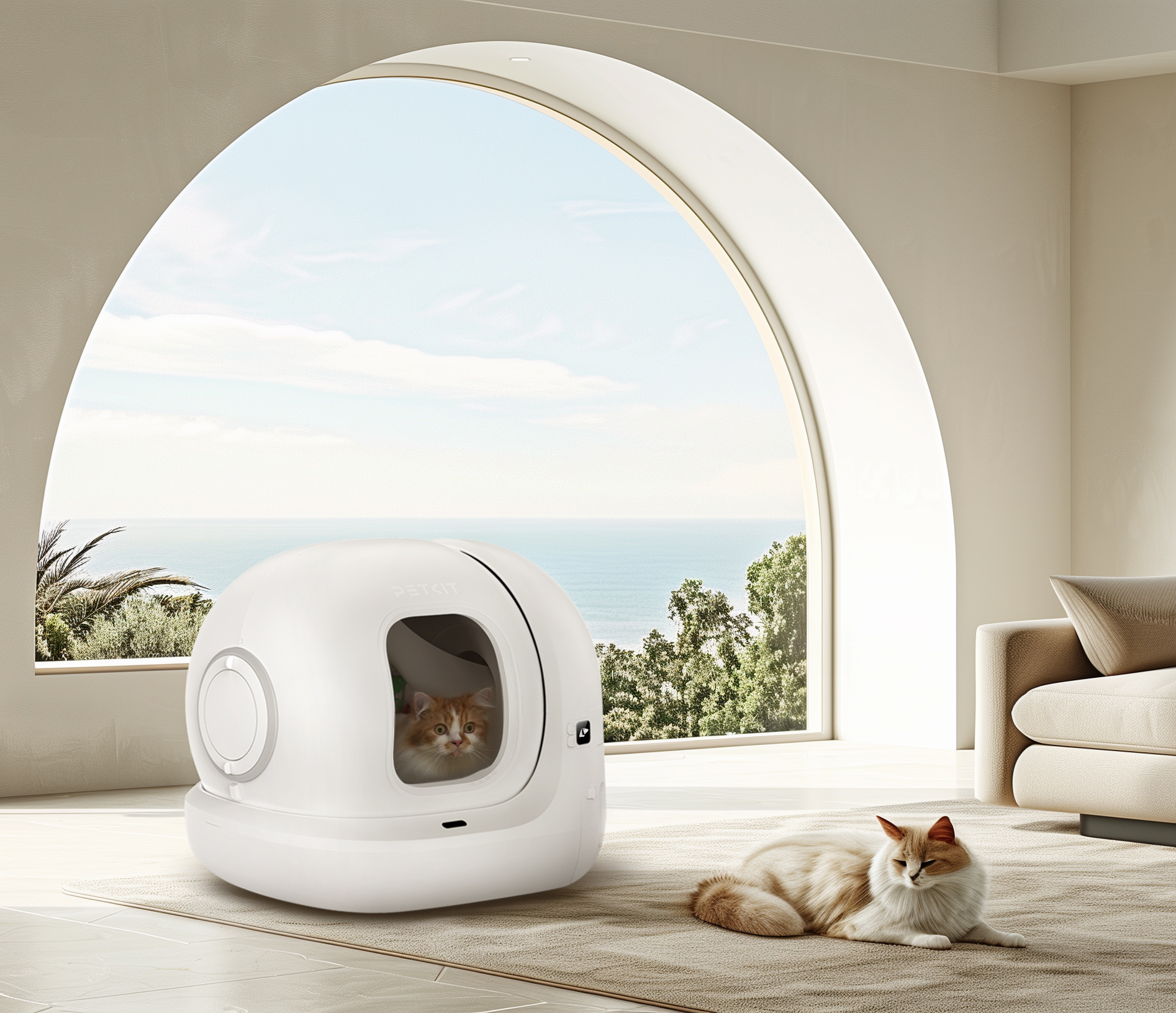 İçinde bir kedi olan beyaz bir kedi kumu kutusu, bir halıda yatan bir kedi ve denize bakan bir pencere.