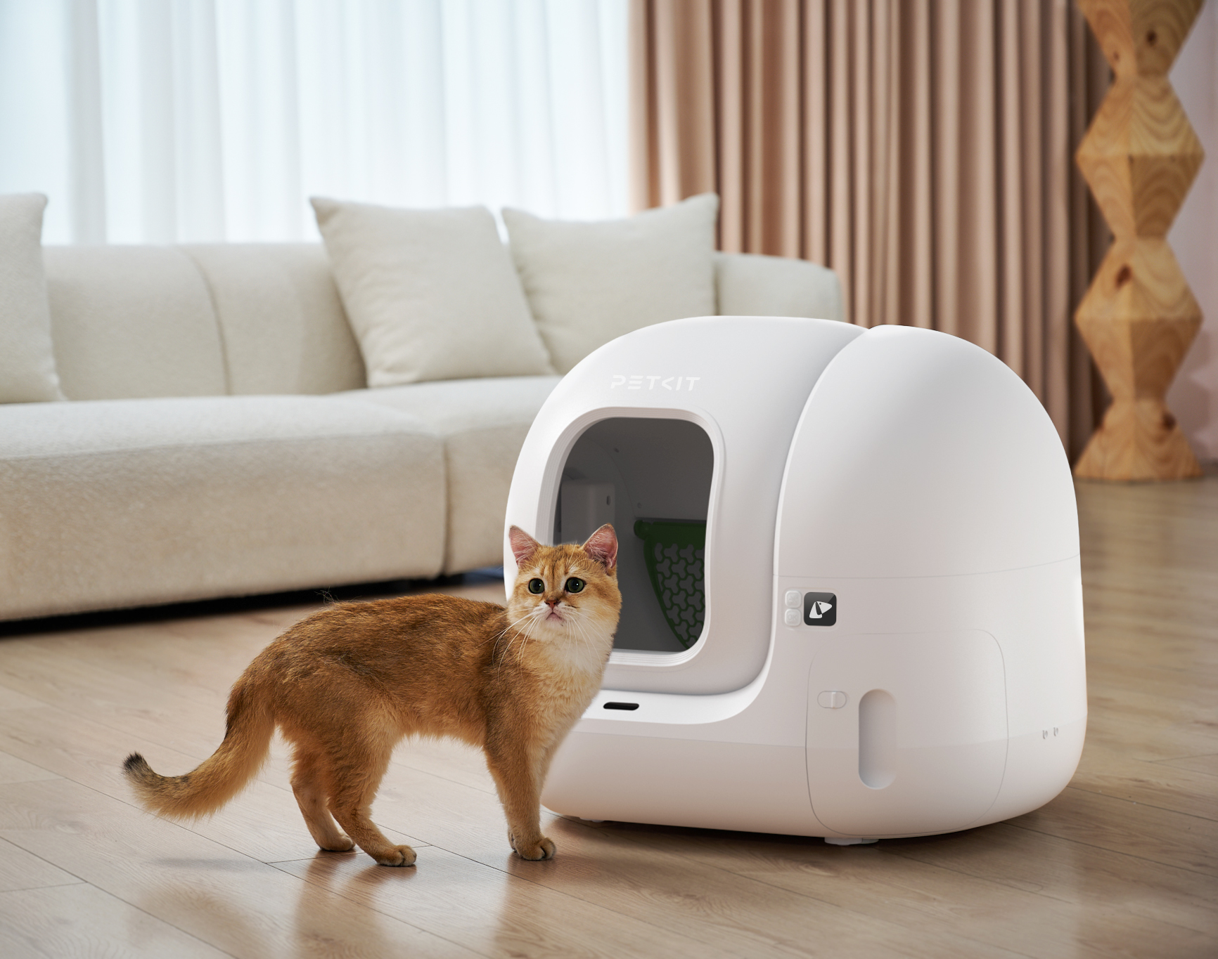 Altın rengi bir kedi, beyaz bir Petkit tuvalet kabının yanında duruyor. Arka planda beyaz bir kanepe ve perdeler var.