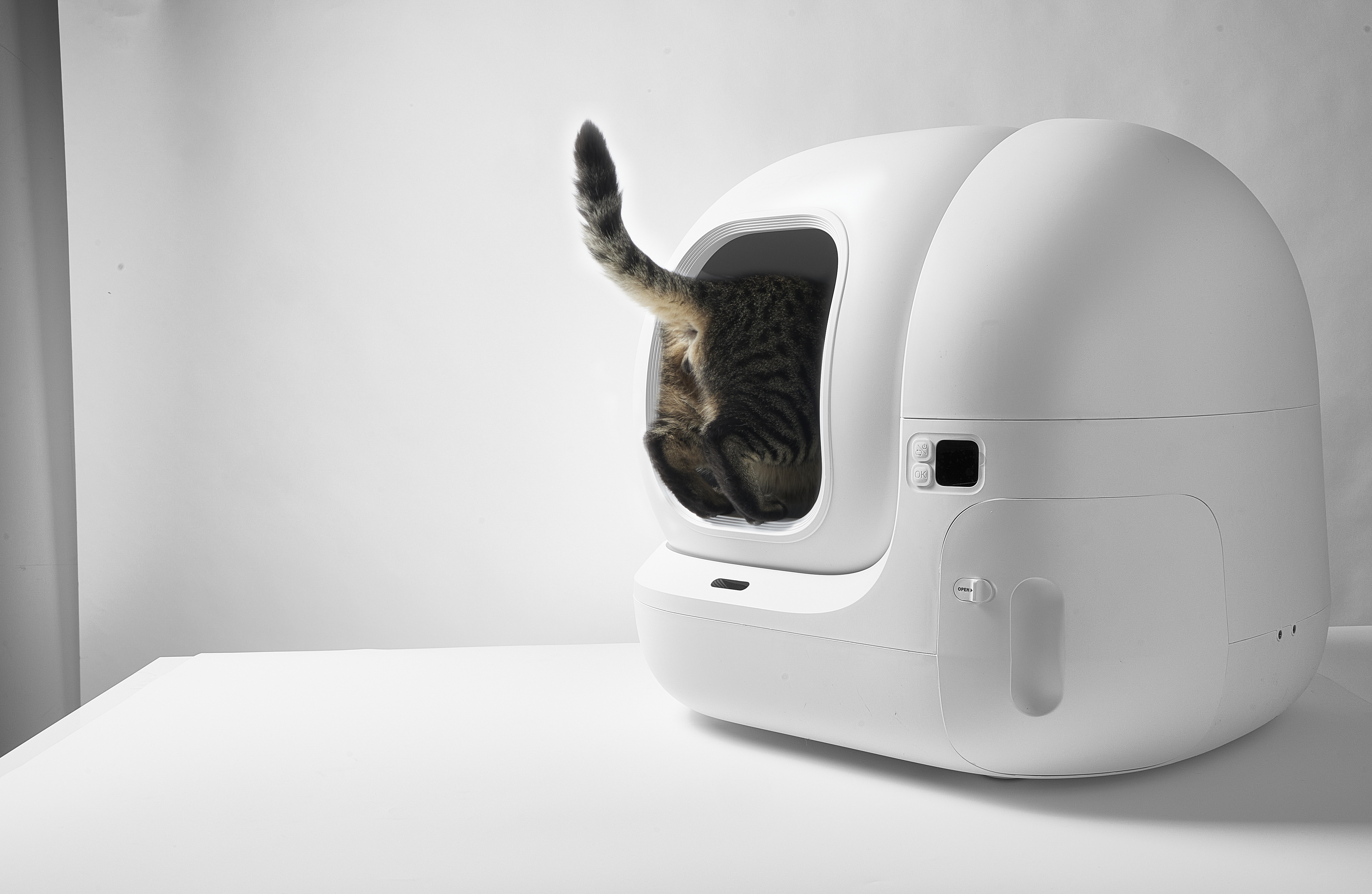 Beyaz, modern bir kedi tuvaletinin içinde bir kedi, sadece kuyruğu görünüyor. Beyaz arka plan.