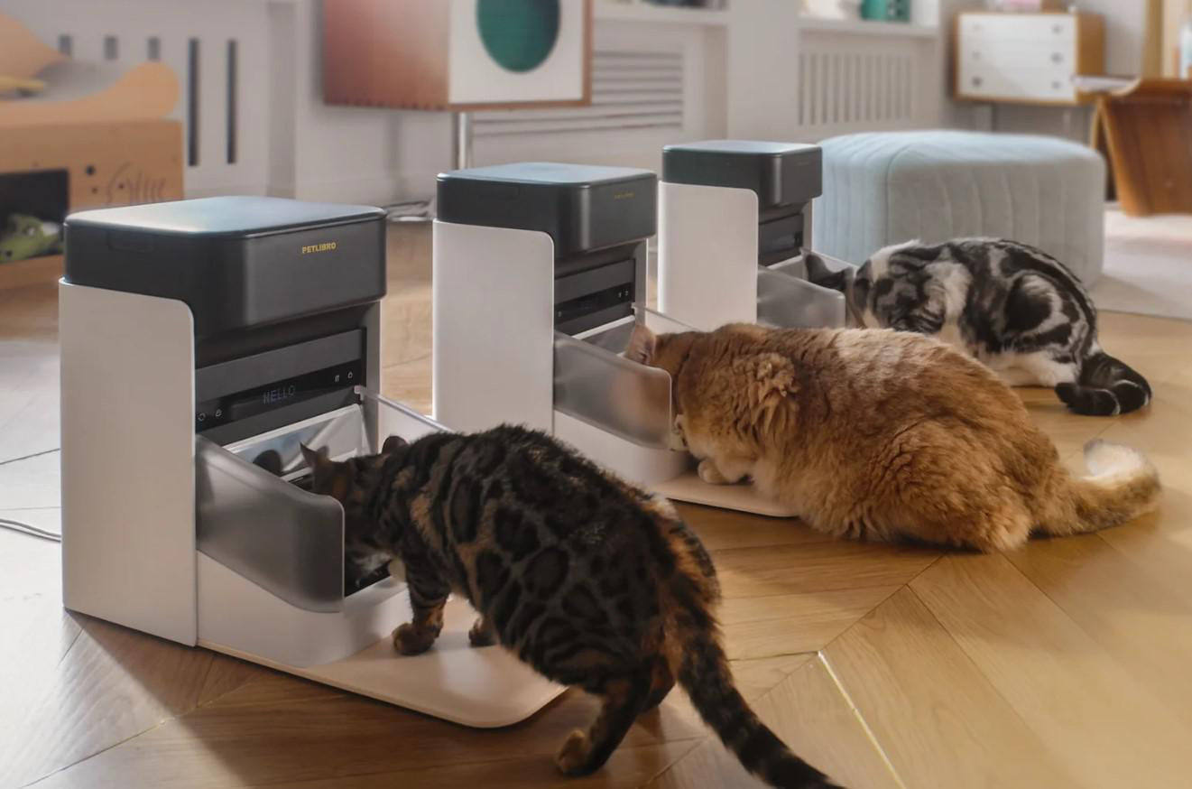 Vier Katzen fressen aus automatischen Futterautomaten. Bengal-Katzen und eine flauschige, orangefarbene Katze fressen. Die Futterautomaten sind weiß und schwarz mit dem Namen PETLIBRO.