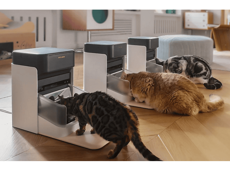 Thumbnail - PETLIBRO PL-AF301 ONE RFID PET FEEDER AUTOMATIC