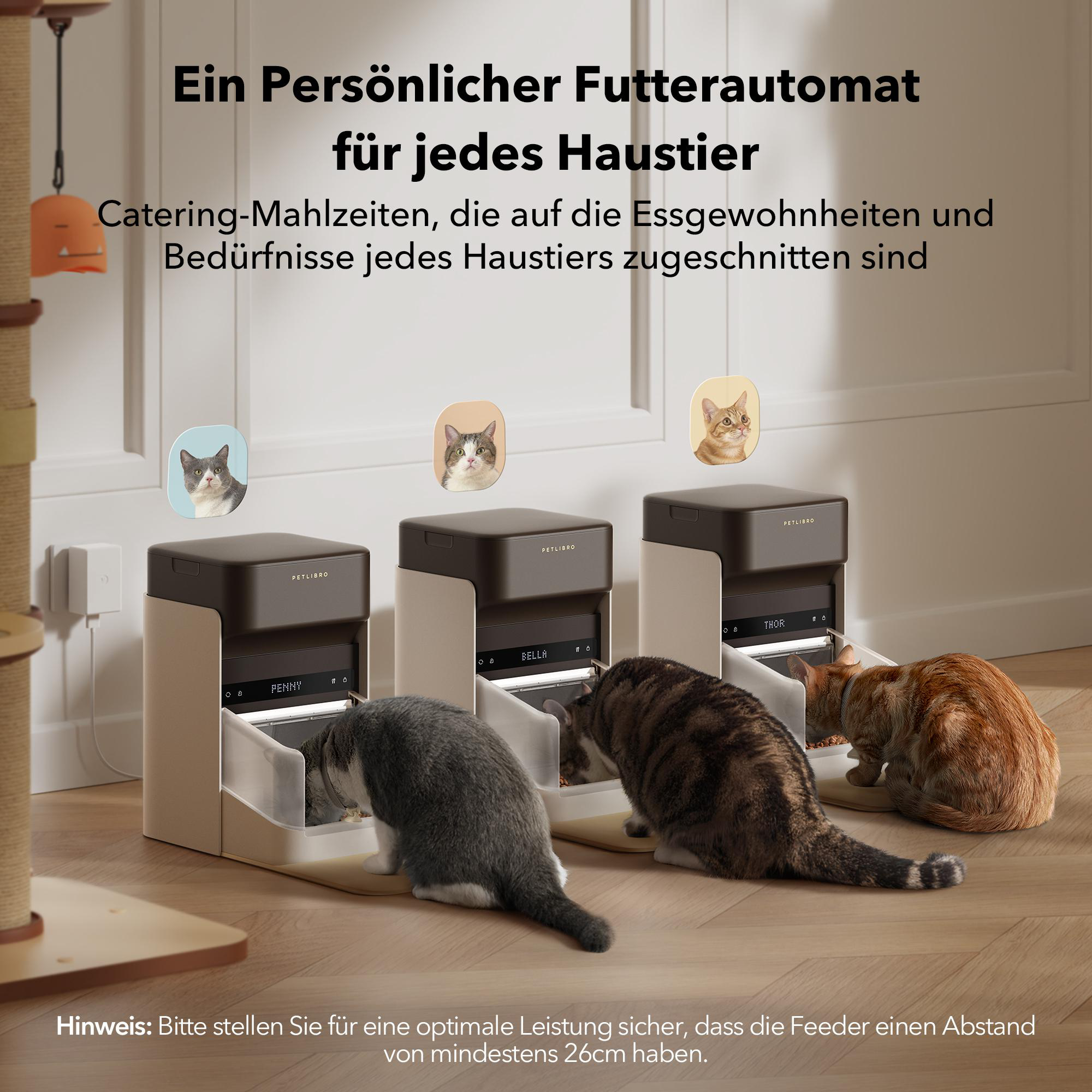 Drei Katzen fressen aus Futterautomaten. Über jedem Futterautomaten befindet sich ein Katzenbild. Text auf Deutsch.