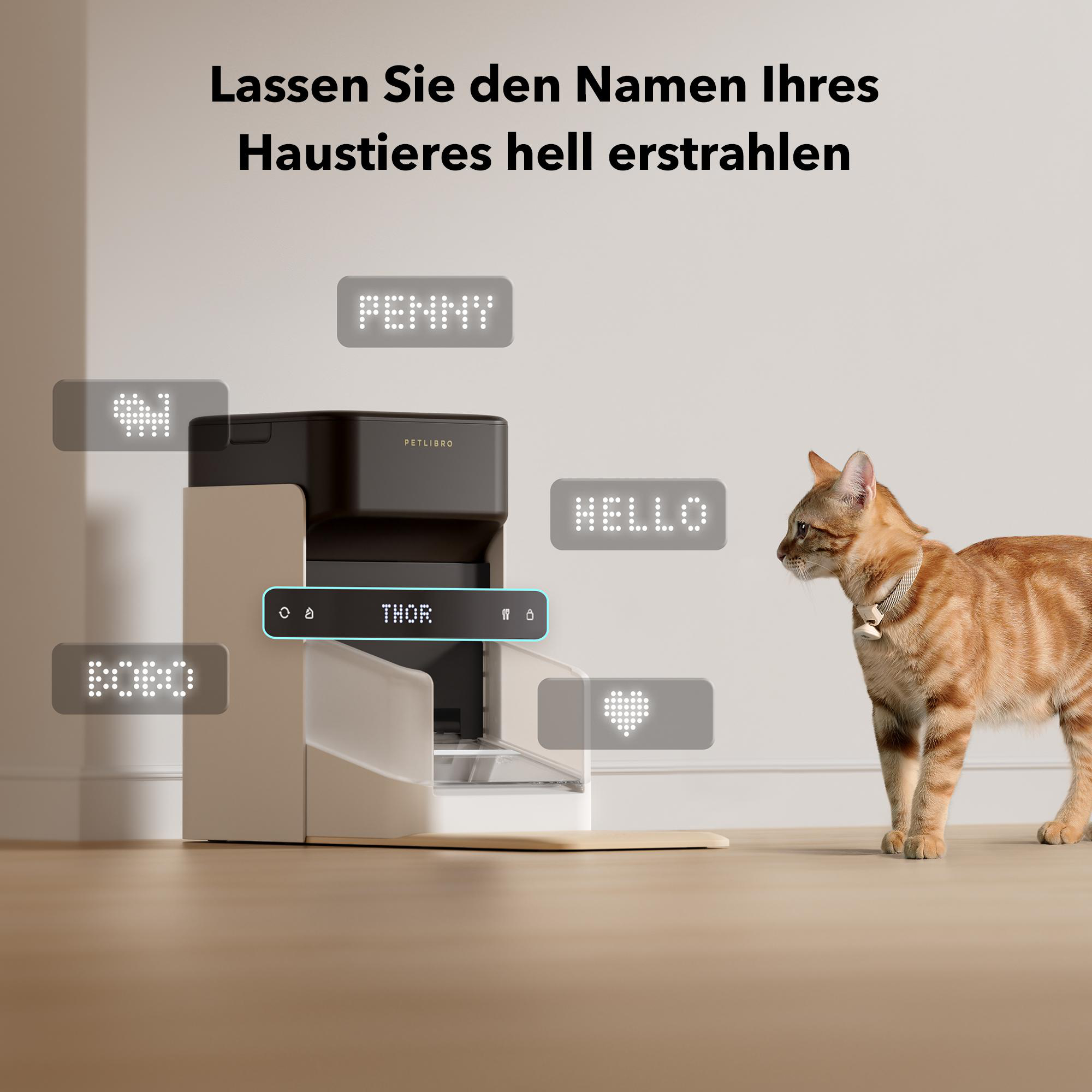Eine rot getigerte Katze betrachtet einen Futterautomaten mit LED-Anzeigen mit Namen und Symbolen.