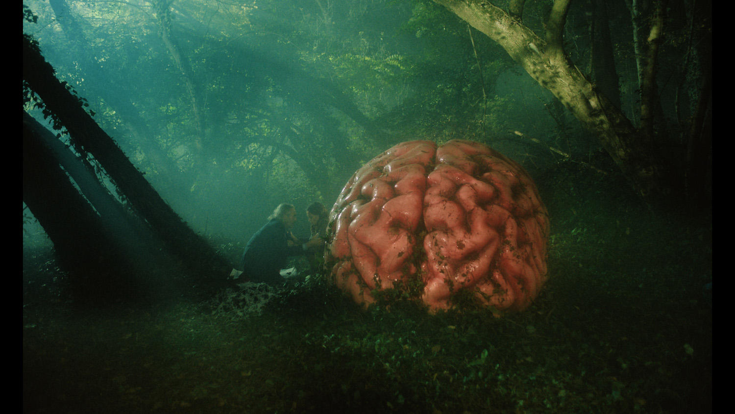 Ein großes Gehirn liegt in einem Wald. Zwei Personen betrachten es. Die Szene ist schwach beleuchtet, mit grünem Farbton, umgeben von Bäumen.