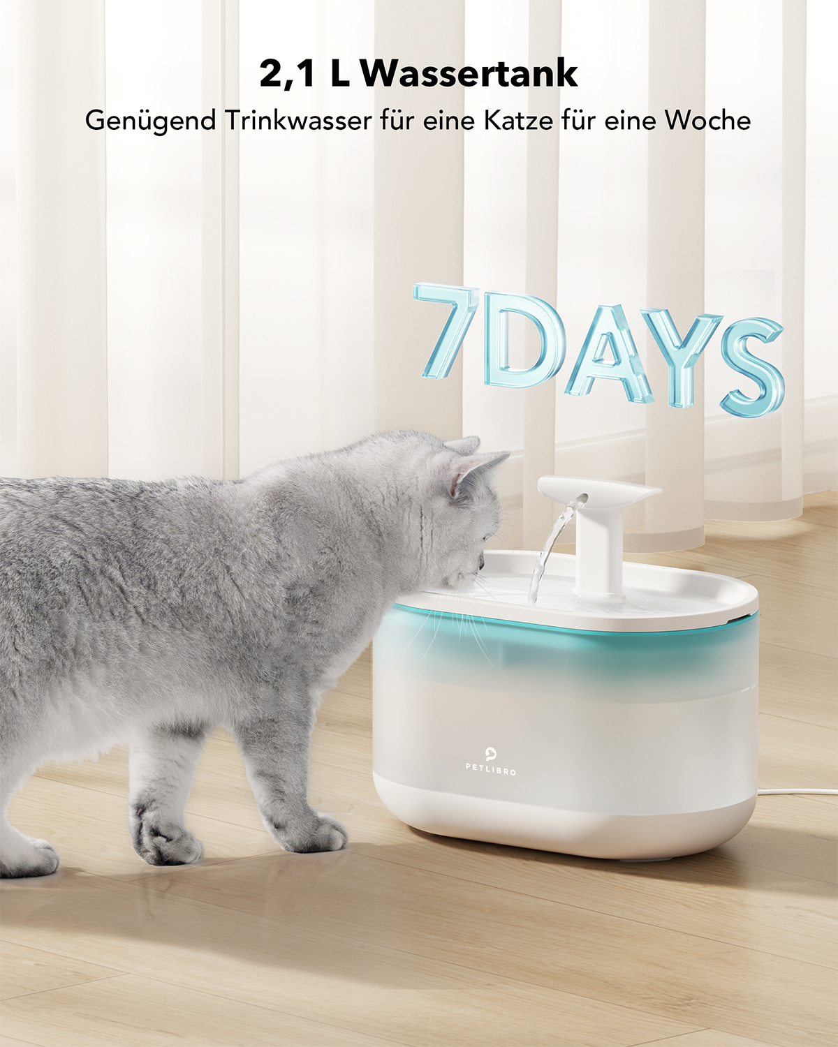 Eine graue Katze trinkt aus einem weiß-blauen Wasserbrunnen. Text sagt 7 Tage und 2,1L Wassertank. Im Hintergrund ein Vorhang.