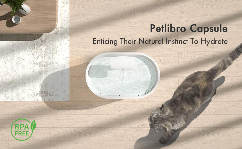 Eine Katze nähert sich einer weißen Wasserschale auf Holzboden. Ein Tisch mit Pflanzen steht auf einem Teppich. Text: Petlibro Capsule, BPA-frei.