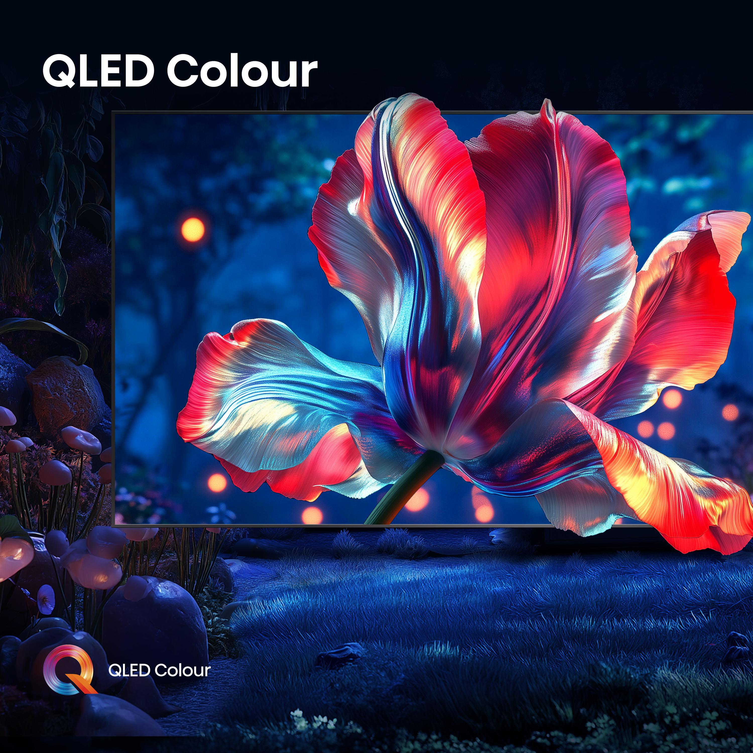 Ein QLED-TV zeigt eine lebendige Blumenszene. Rot, Orange und Blau dominieren das Bild. Der Hintergrund ist ein verschwommener Wald.