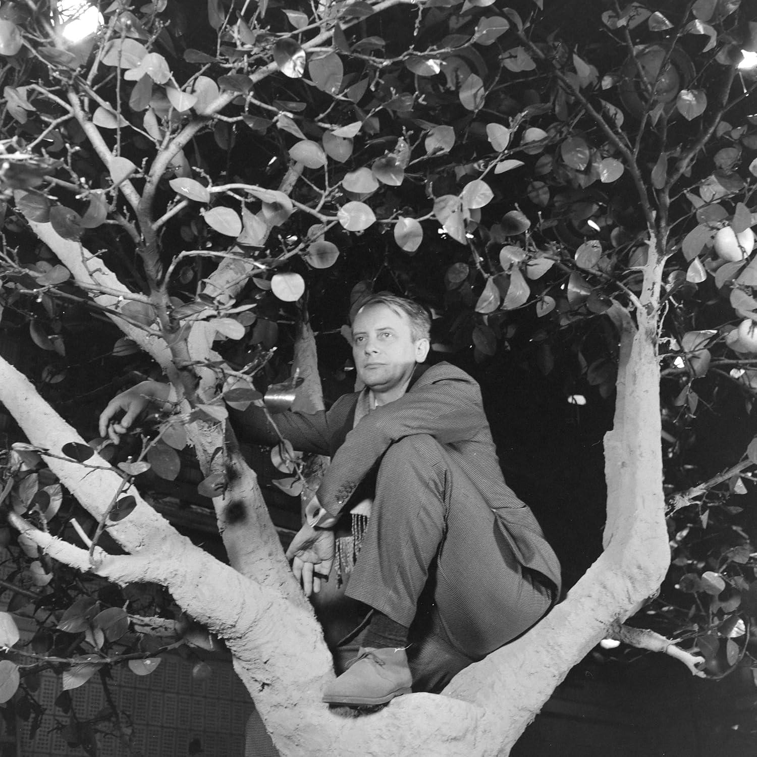Ein Mann sitzt in einem Baum mit vielen Blättern. Er trägt einen Anzug. Die Äste sind dick und weiß.