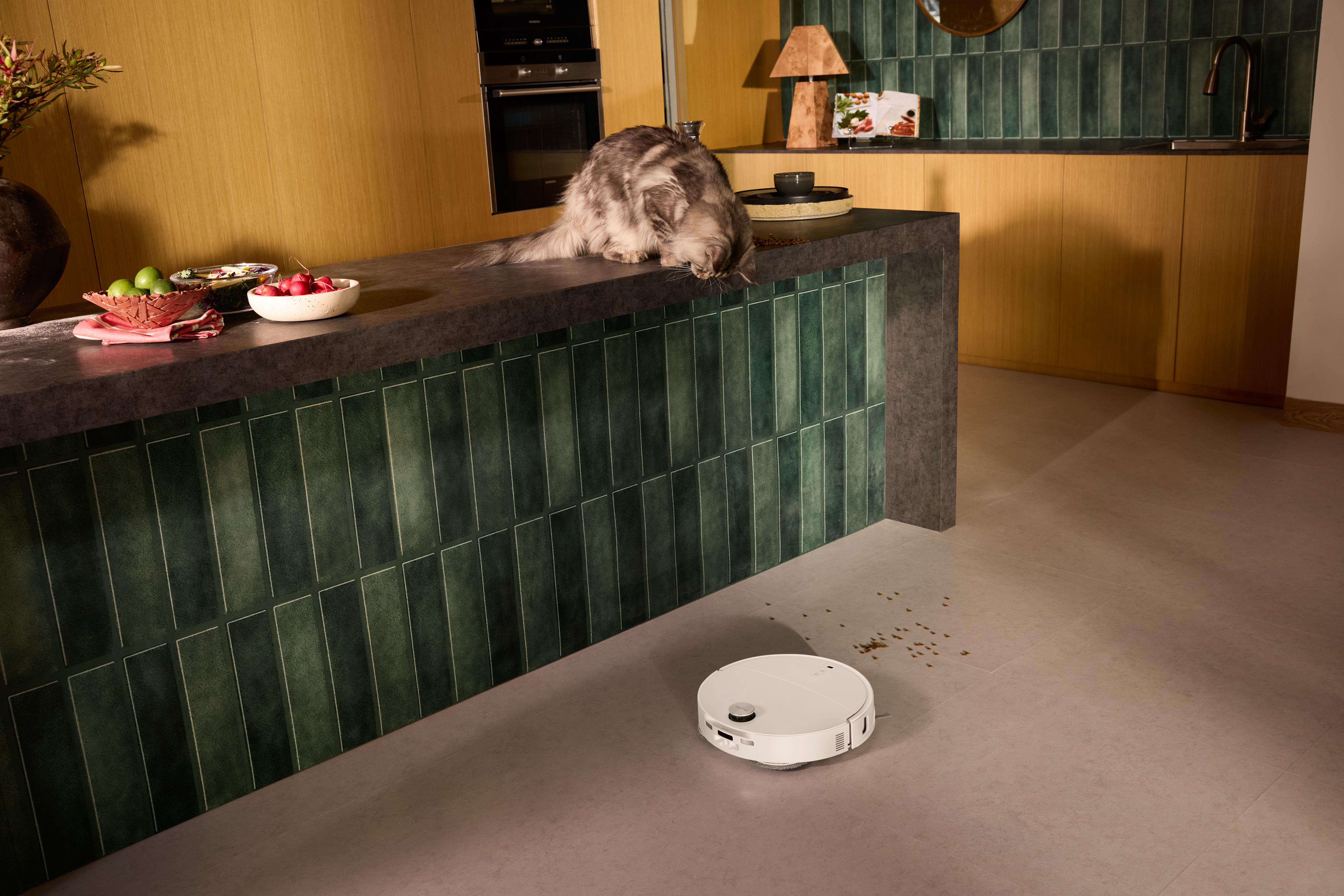 Eine Katze auf einer Theke, ein weißer Roboterstaubsauger auf dem Boden und Essen auf der Theke.