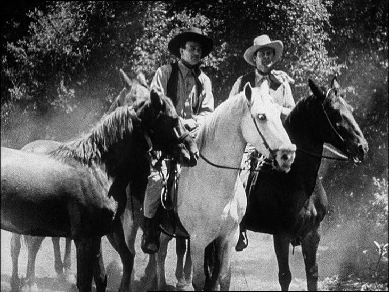 Zwei Cowboys auf Pferden mit anderen Pferden, Bäume im Hintergrund. Schwarz-Weiß-Bild.