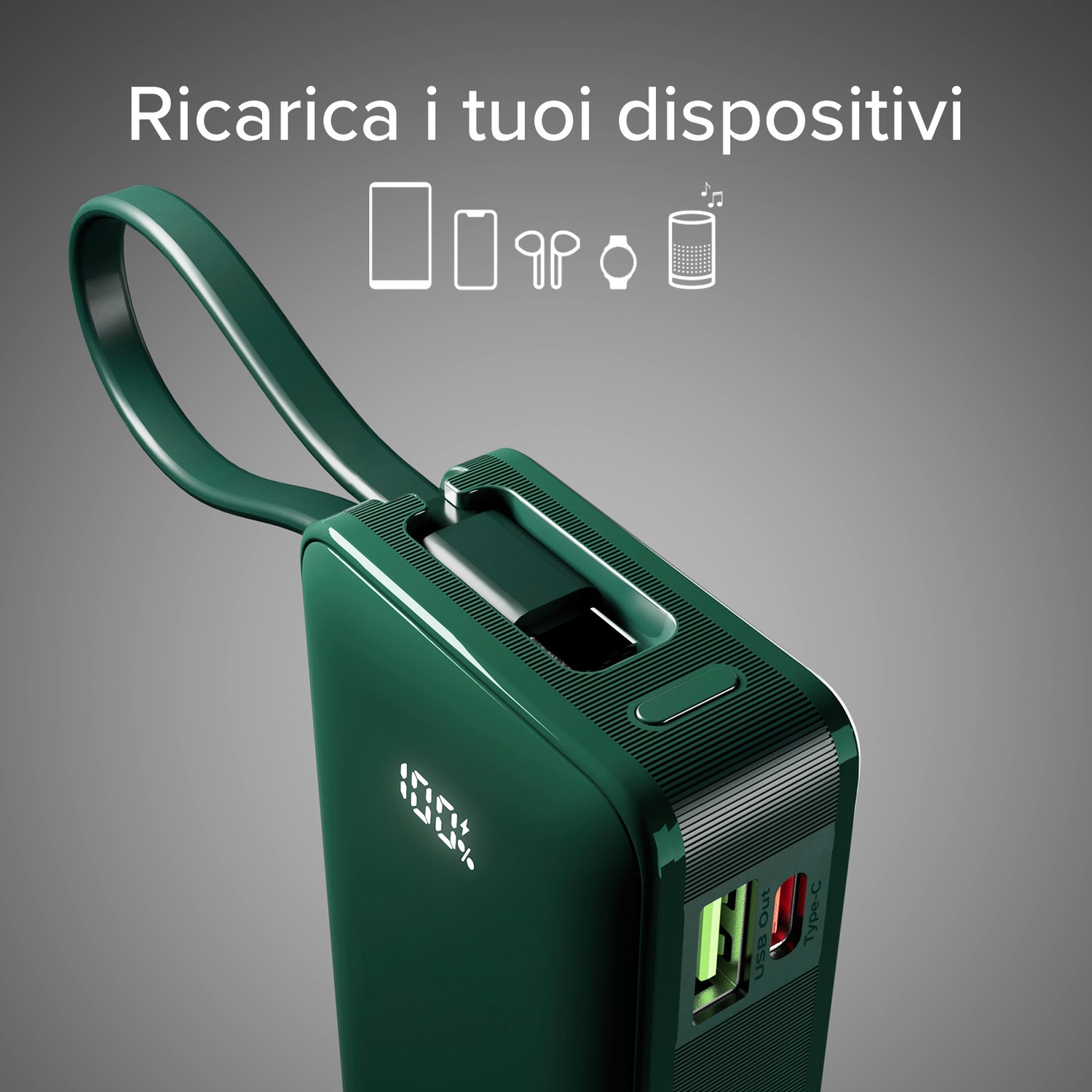 Power bank verde con display 100%. Testo: 'Ricarica i tuoi dispositivi'. Sono presenti icone di dispositivi.