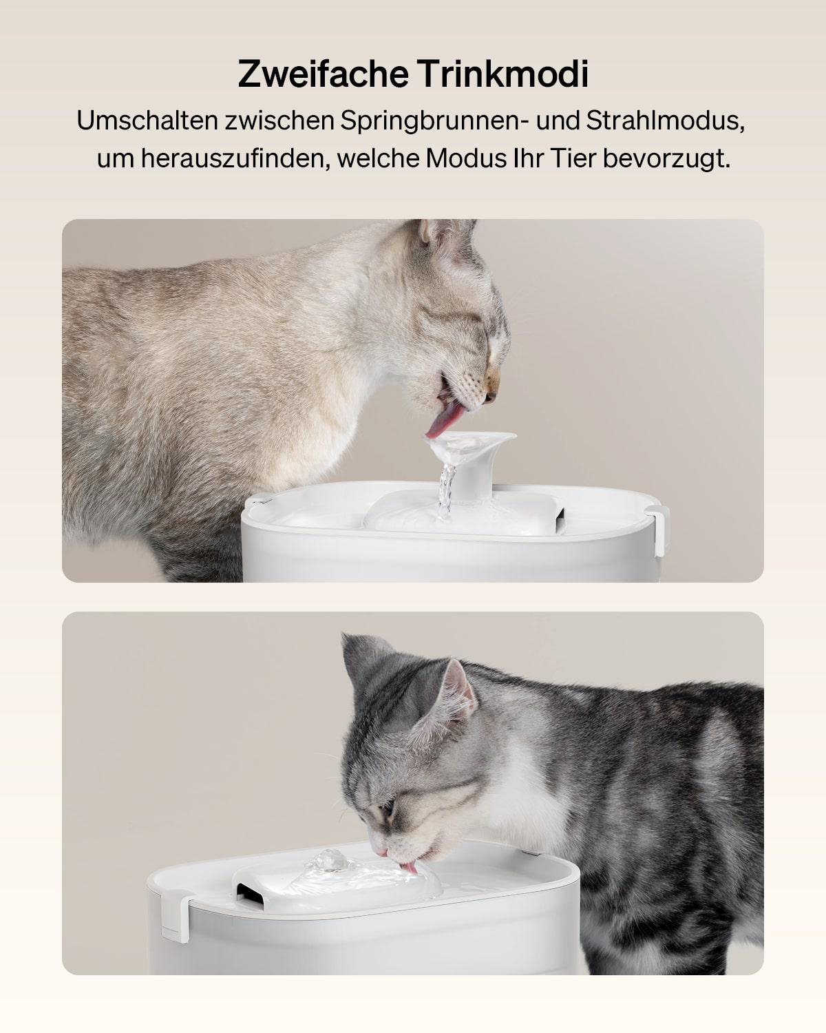 Zwei Katzen trinken aus einem weißen Haustierbrunnen, einer mit Brunnen, einer mit Strahl. Beiger Hintergrund.