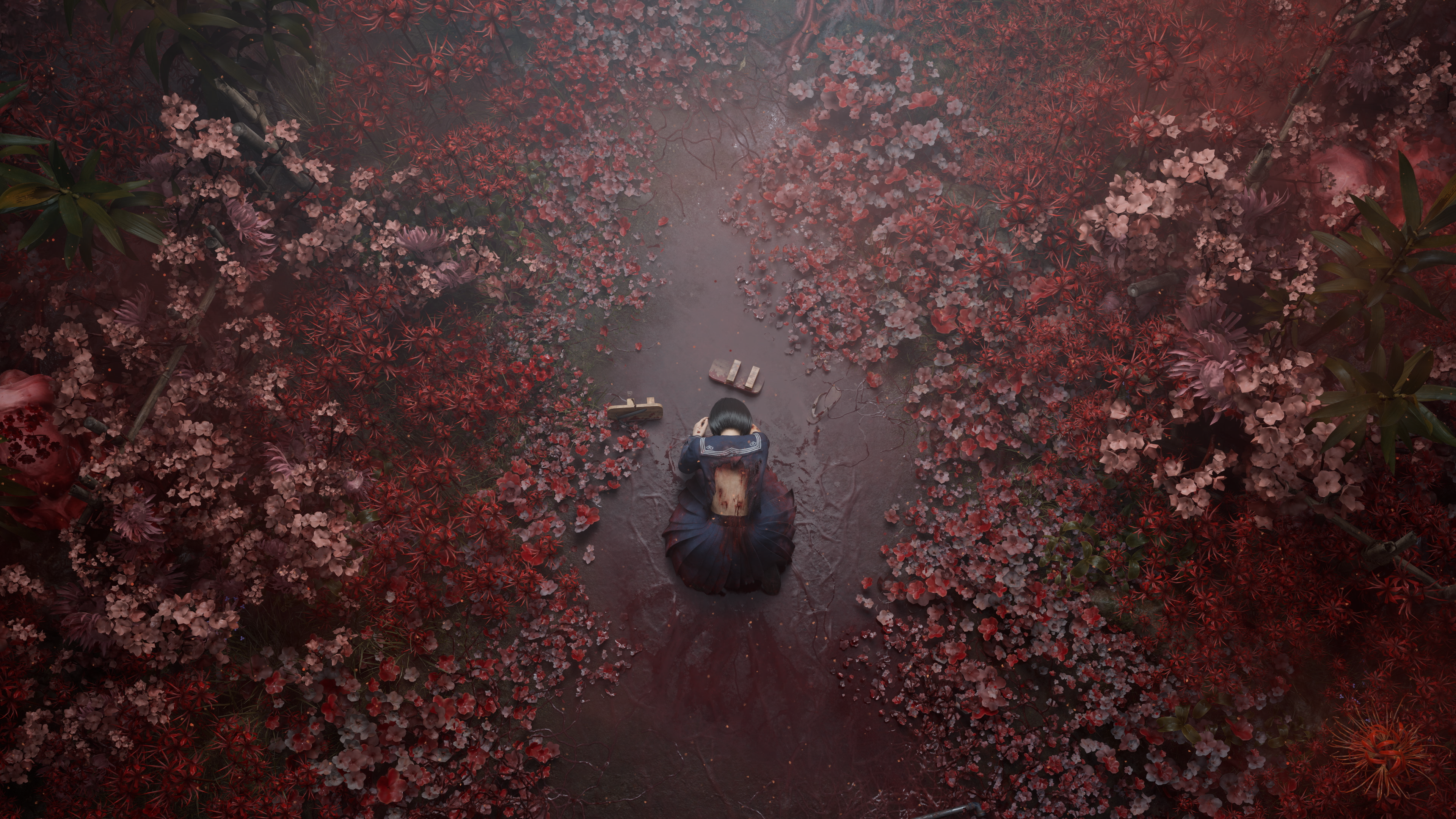 Osoba siedzi pośród czerwonych kwiatów, w pobliżu książki. Scena z wysokiego kąta.