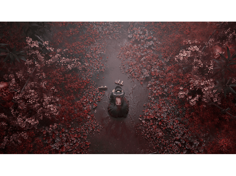 Silent Hill f Edycja Day One Gra na PS5 – zdjęcie 2