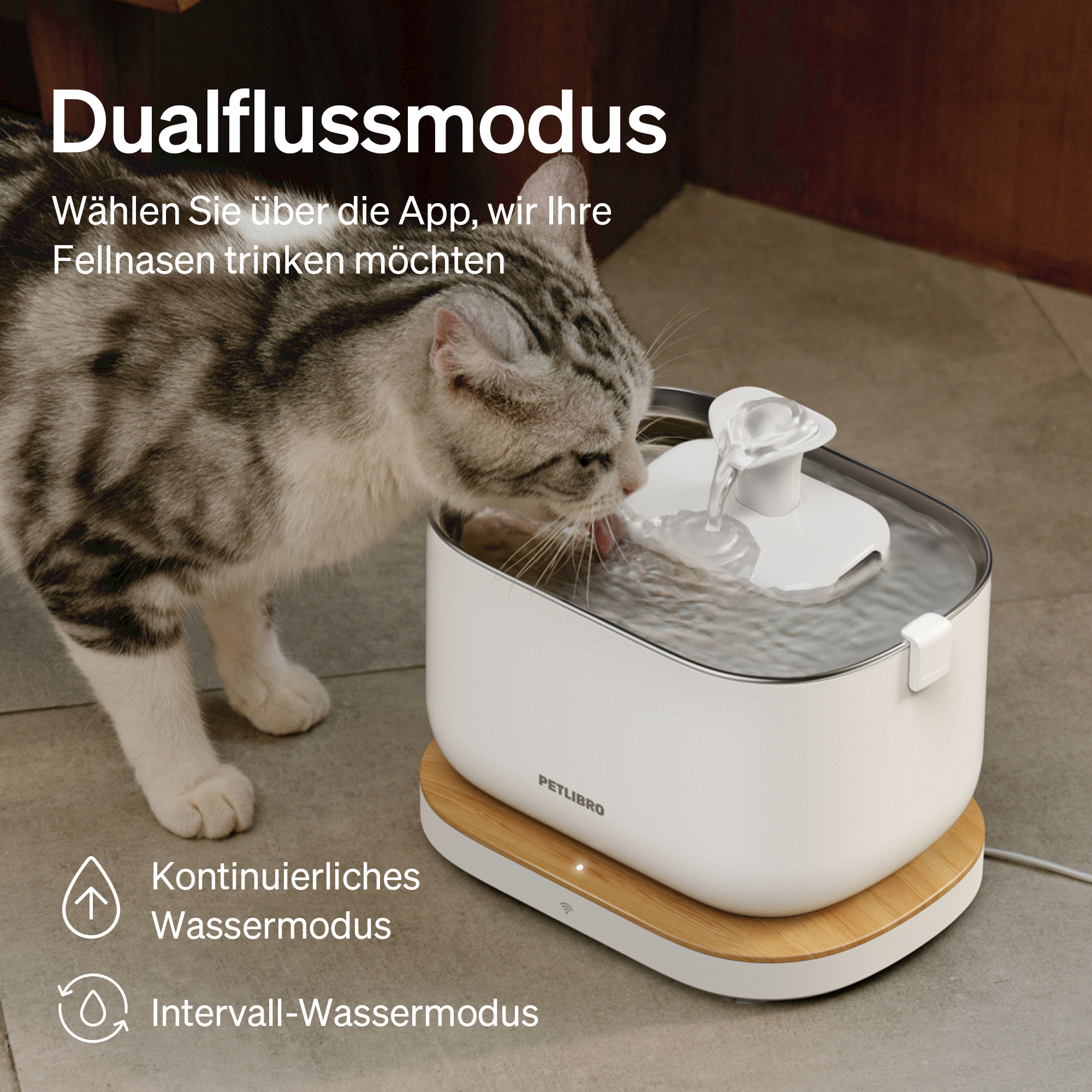 Eine Katze trinkt aus einem weißen Petlibro-Wasserbrunnen. Der Brunnen steht auf Holz. Text: 'Dualflussmodus'.