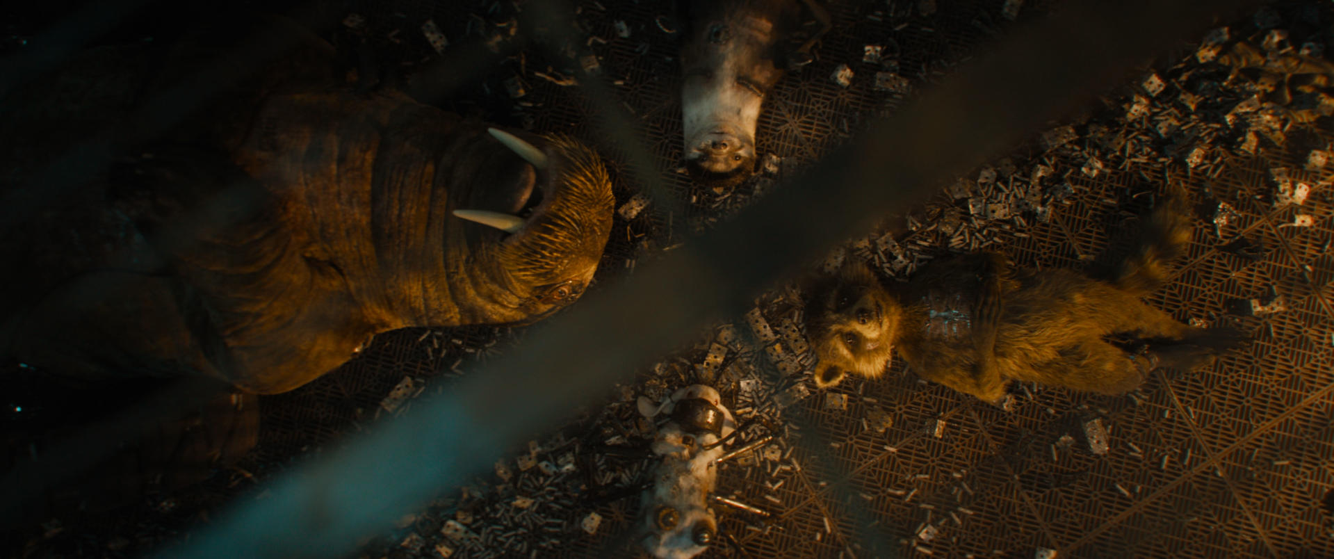 Draufsicht auf einen Walross und drei weitere Kreaturen auf einer Metalloberfläche. Das Walross hat große Stoßzähne.