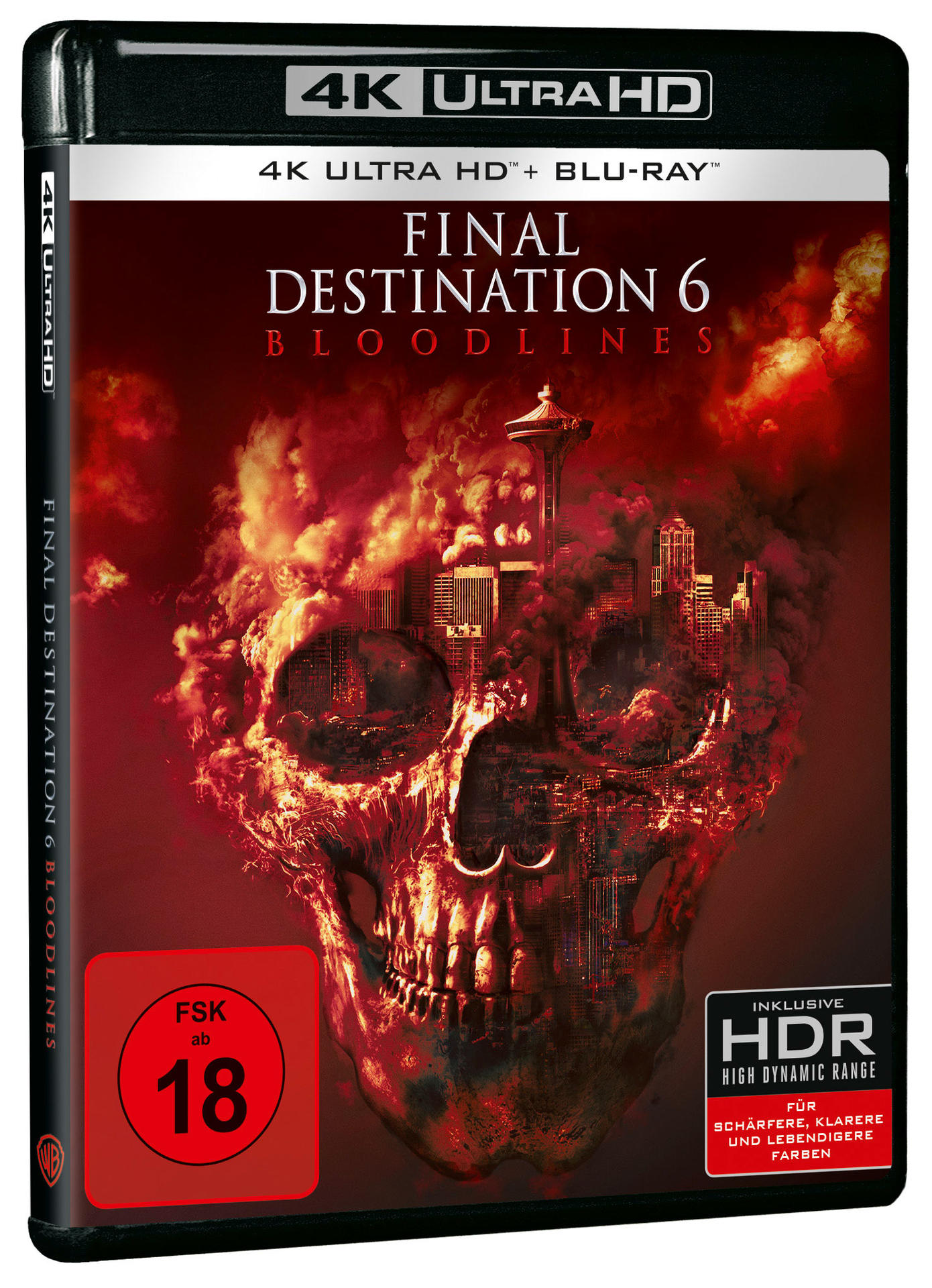 Cover-Art für Final Destination 6. Ein Totenkopf ist zentral, mit Stadt und Flammen. Der Titel steht über dem Schädel. Altersfreigabe 18.
