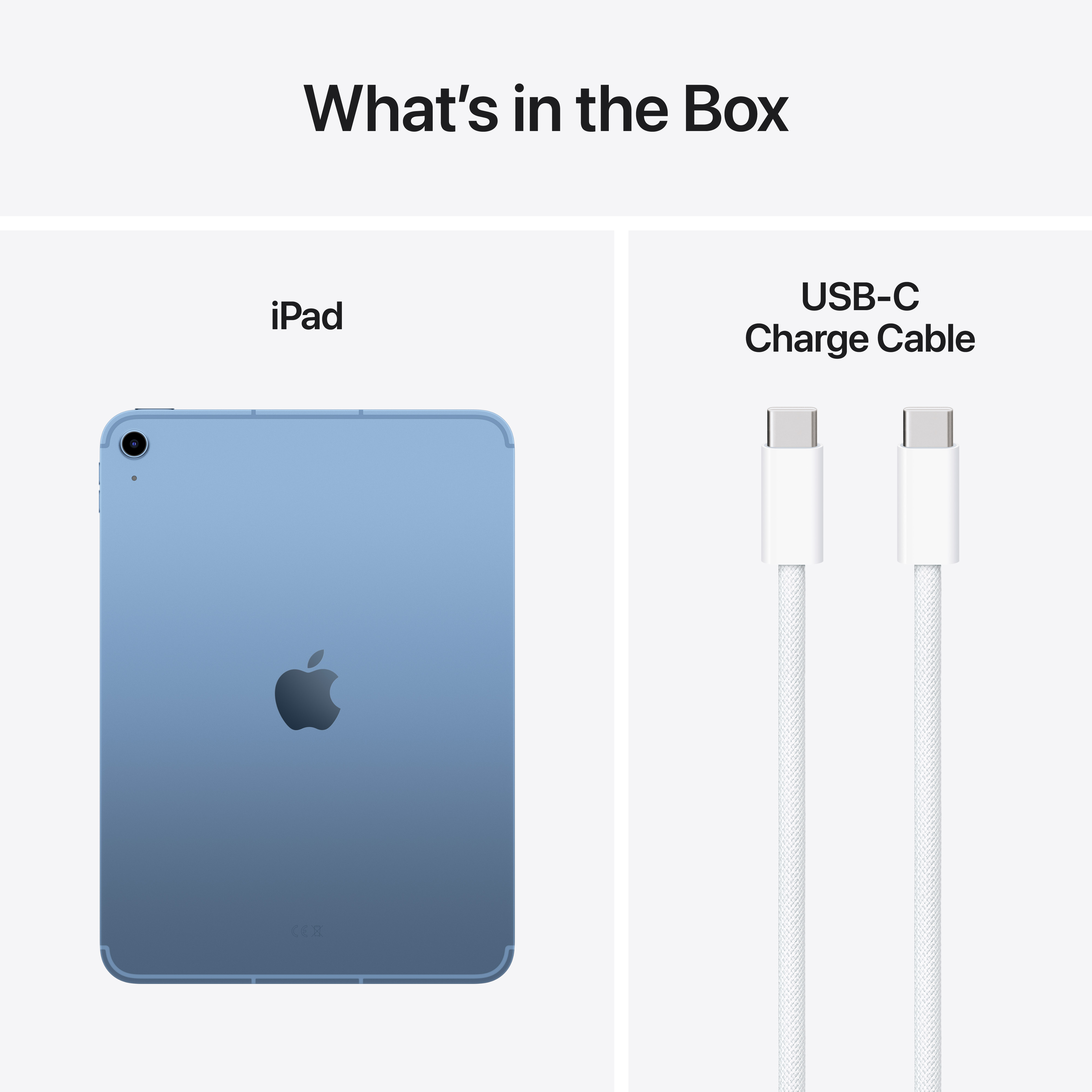 L'immagine mostra un iPad e un cavo di ricarica USB-C. L'iPad è blu e il cavo è bianco.