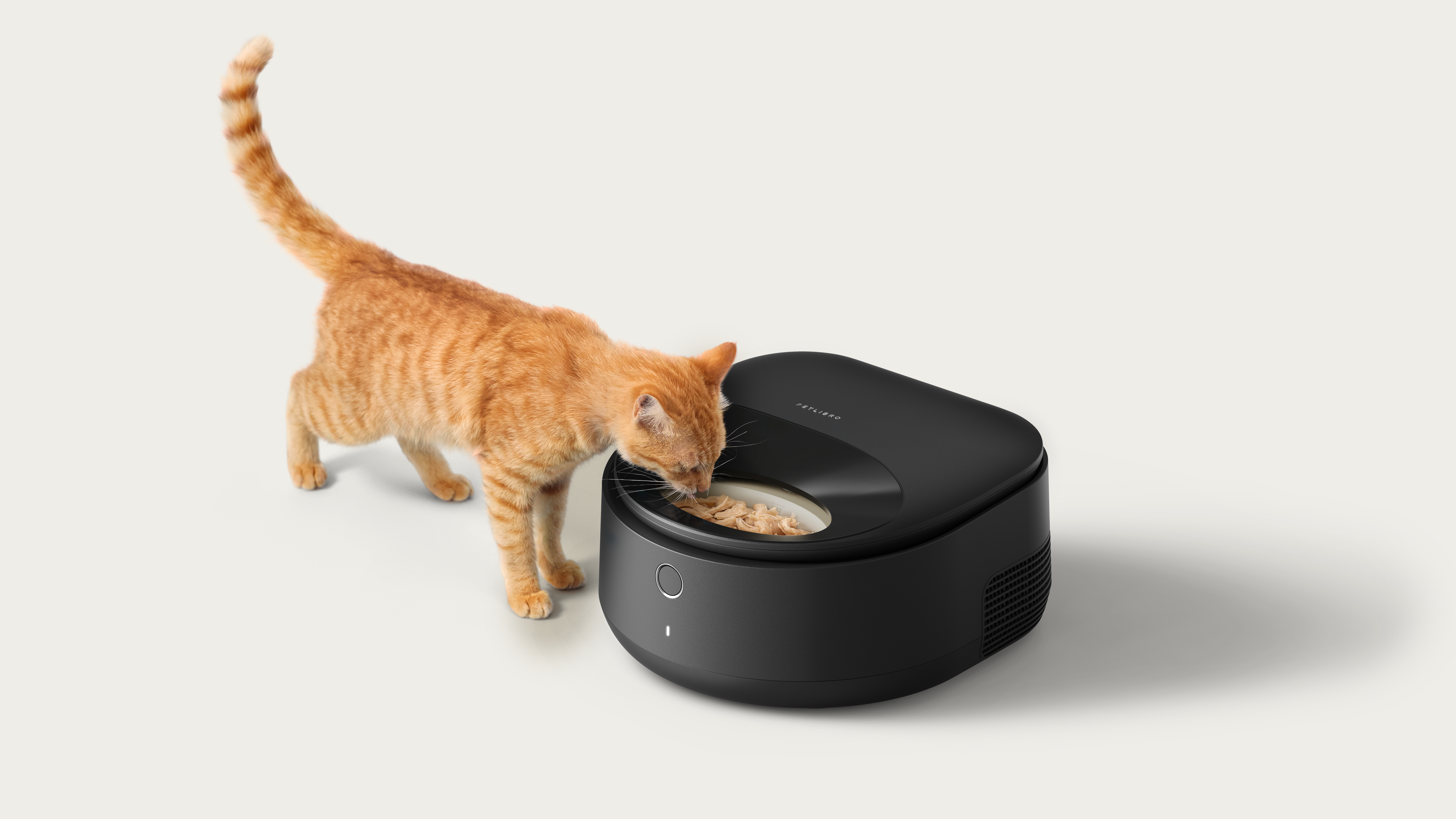 Eine orangefarbene Tabby-Katze frisst aus einem schwarzen automatischen Futterautomaten vor weißem Hintergrund.